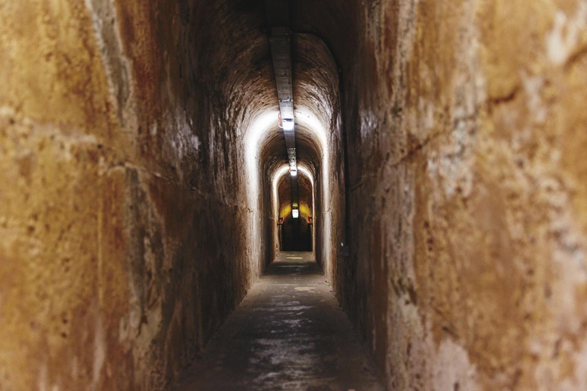  Oliver Hill Train and Tunnel 2 Hour Tour from Rottnest Island - Thumbnail 8
