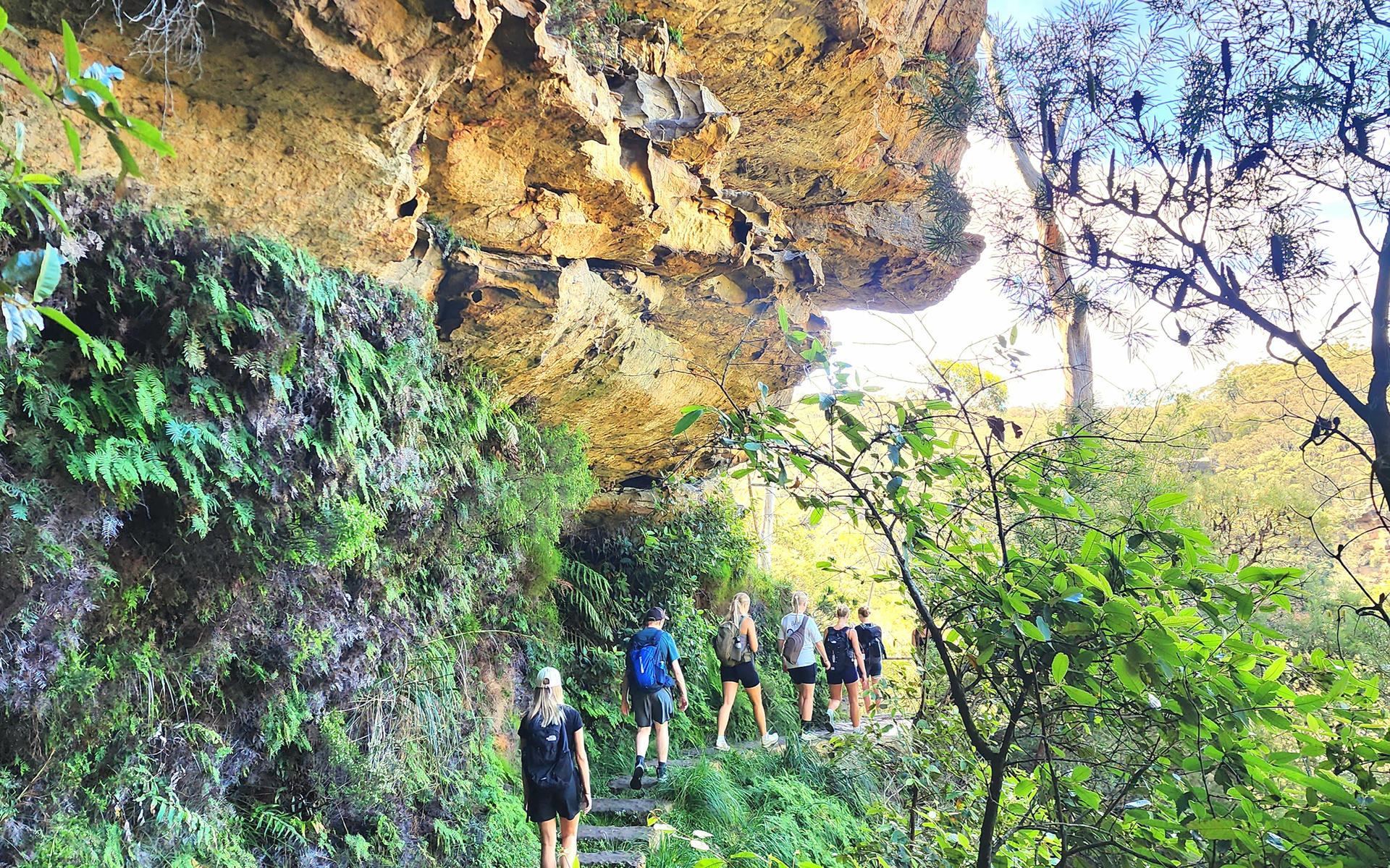 Sydney Blue Mountains Full-Day Small Group Waterfall Tour - Thumbnail 11