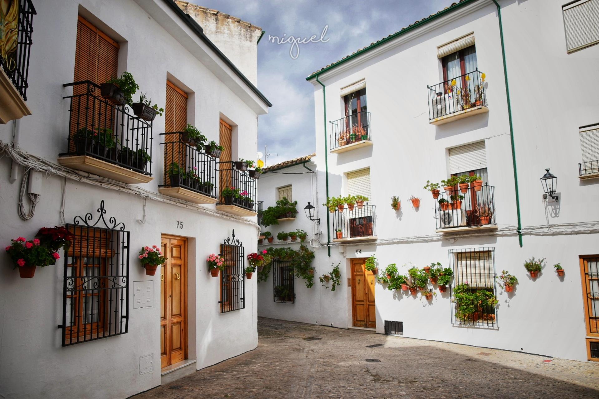 Cordoba Priego de Cordoba & Zuheros Full-Day Private Tour - Thumbnail 2