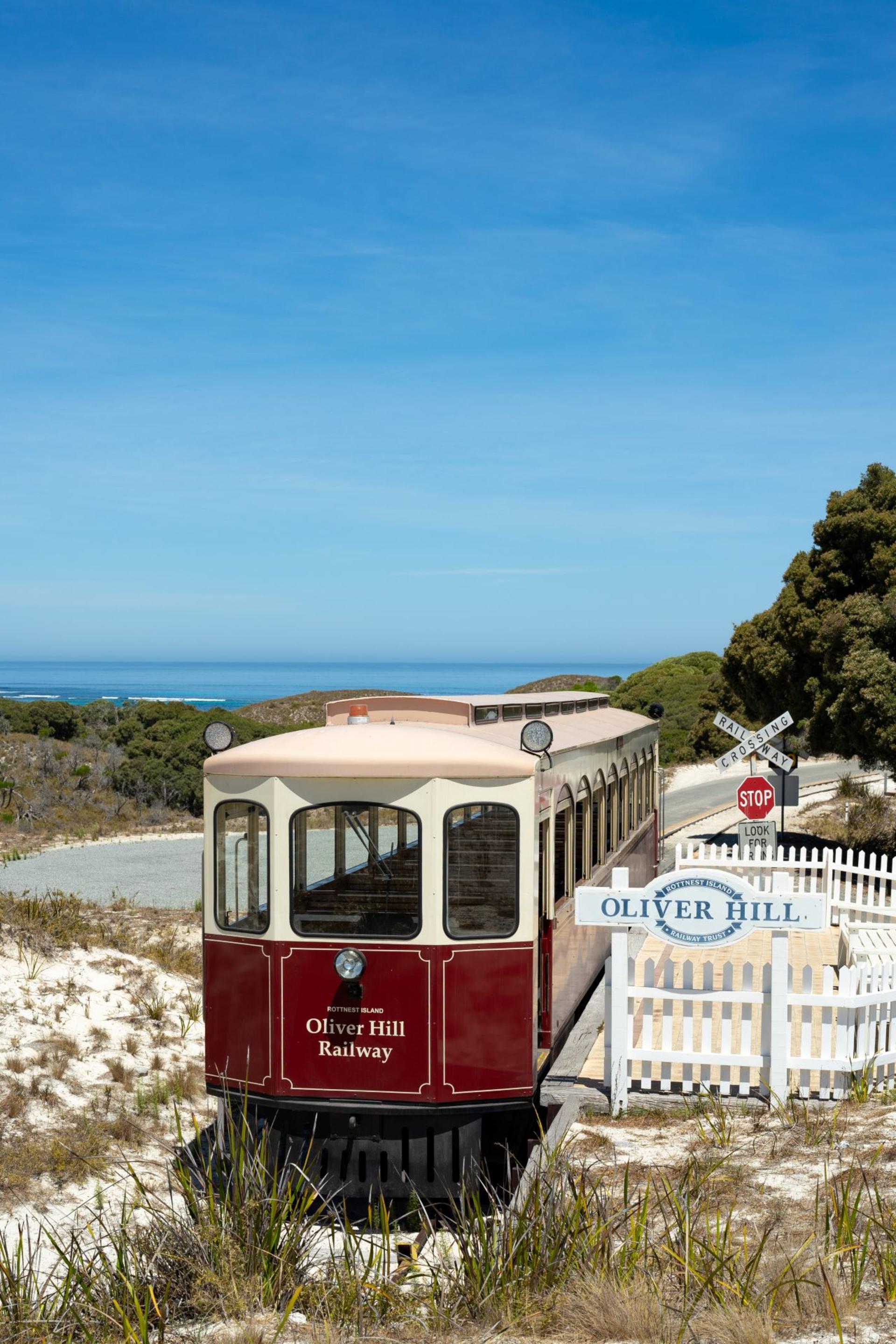  Oliver Hill Train and Tunnel 2 Hour Tour from Rottnest Island - Thumbnail 7