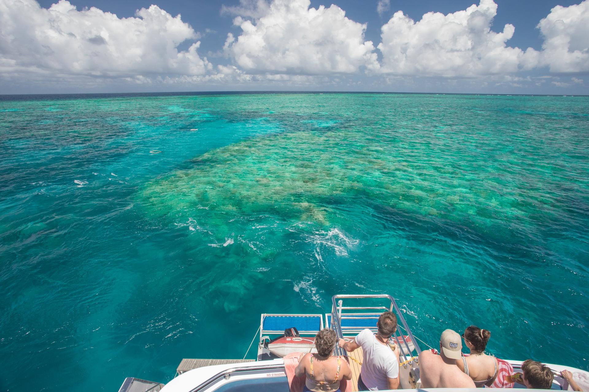 Great Barrier Reef Full Day Snorkel or Dive Tour from Cairns - Thumbnail 5