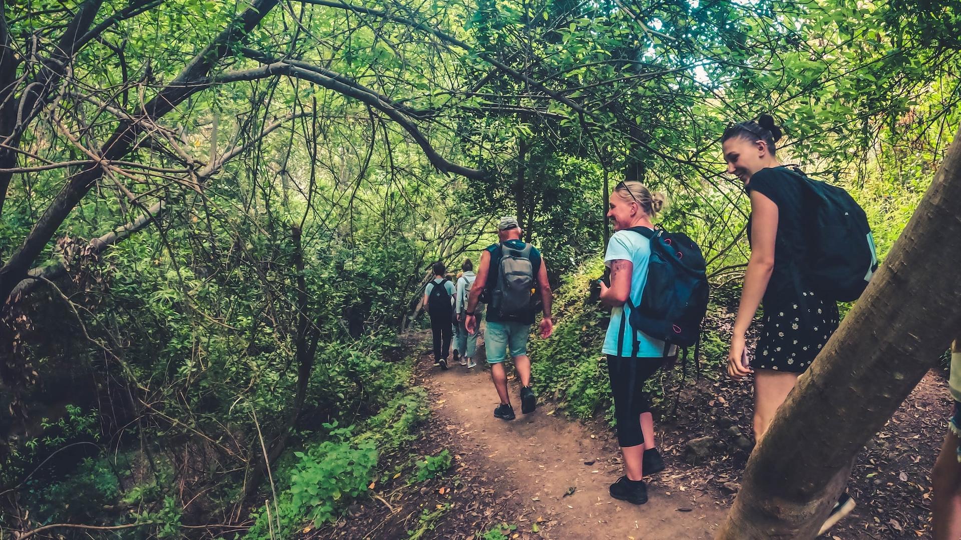 Eco-friendly rainforest trekking tour in Gran Canaria - Thumbnail 7