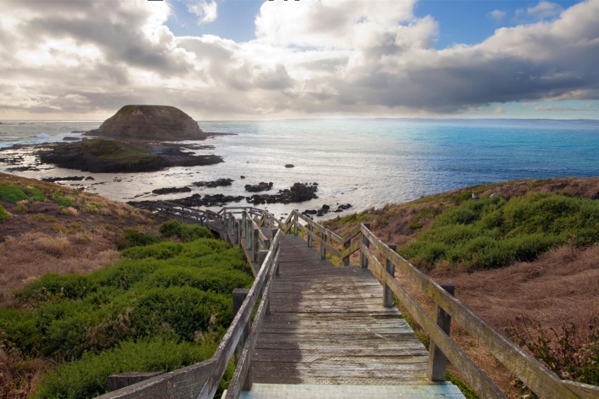 Phillip Island Wildlife & Brighton Beach Boxes Tour	 - Thumbnail 11
