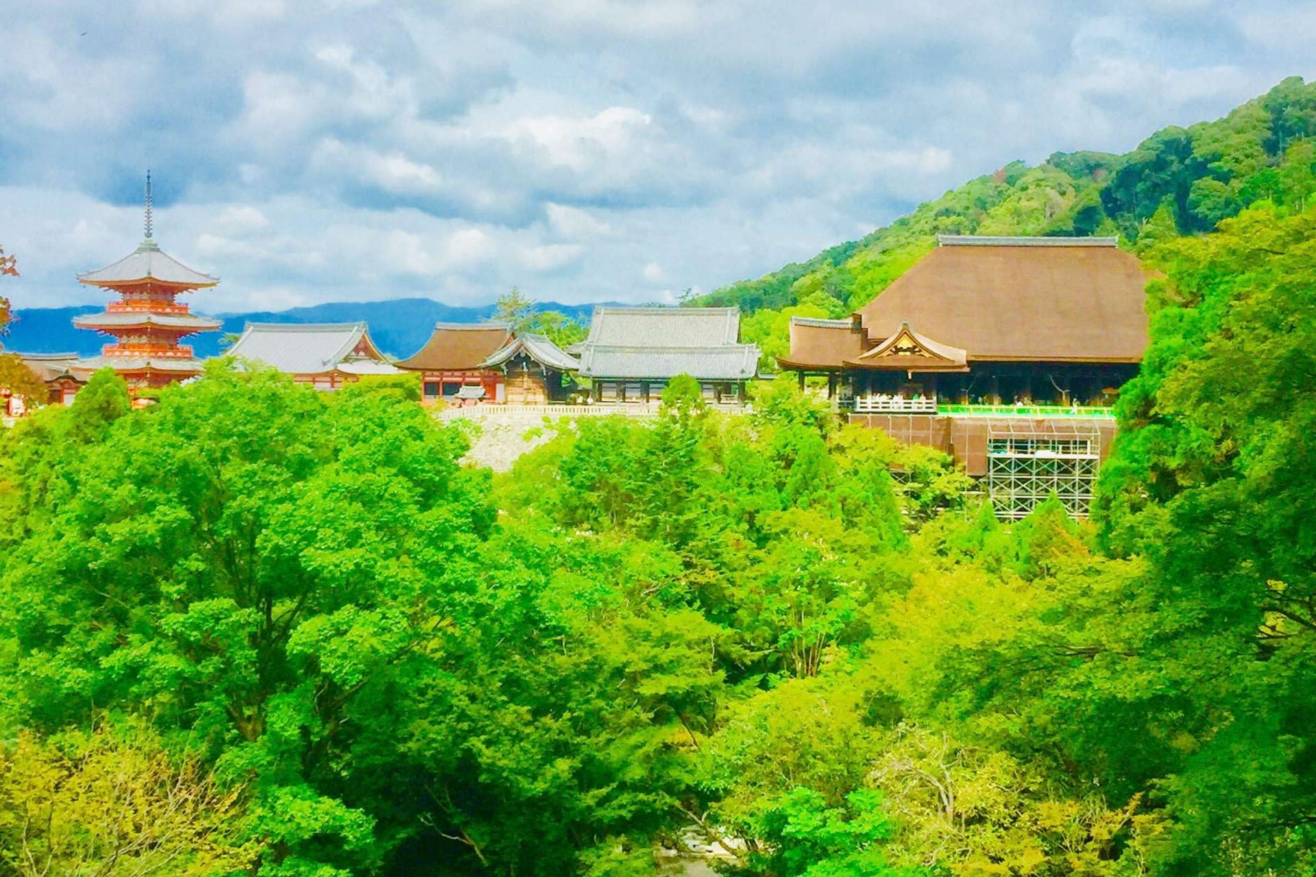 Full-Day Private Guided Tour to Kyoto Temples - Thumbnail 4