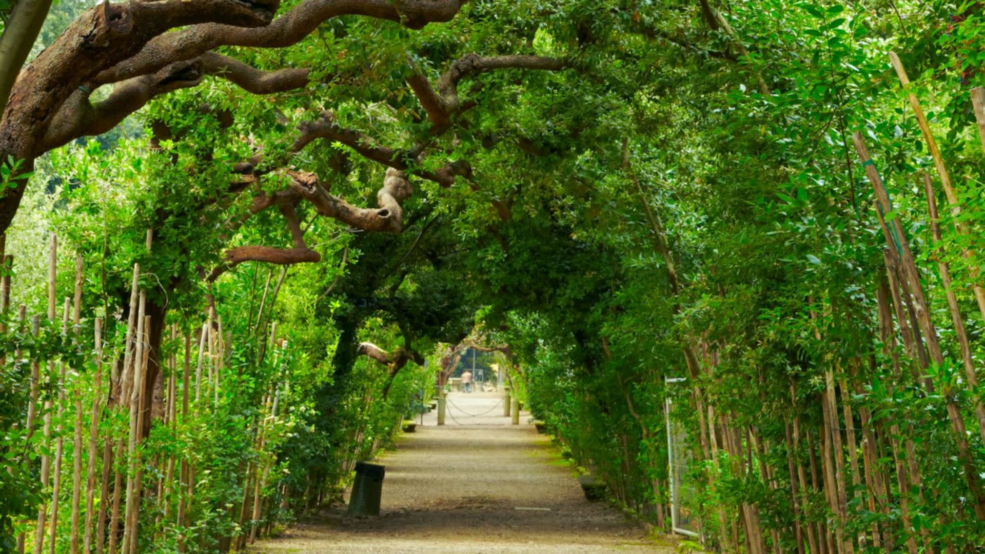 Palazzo Pitti, Boboli and Bardini Gardens ticket in Florence - Thumbnail 3