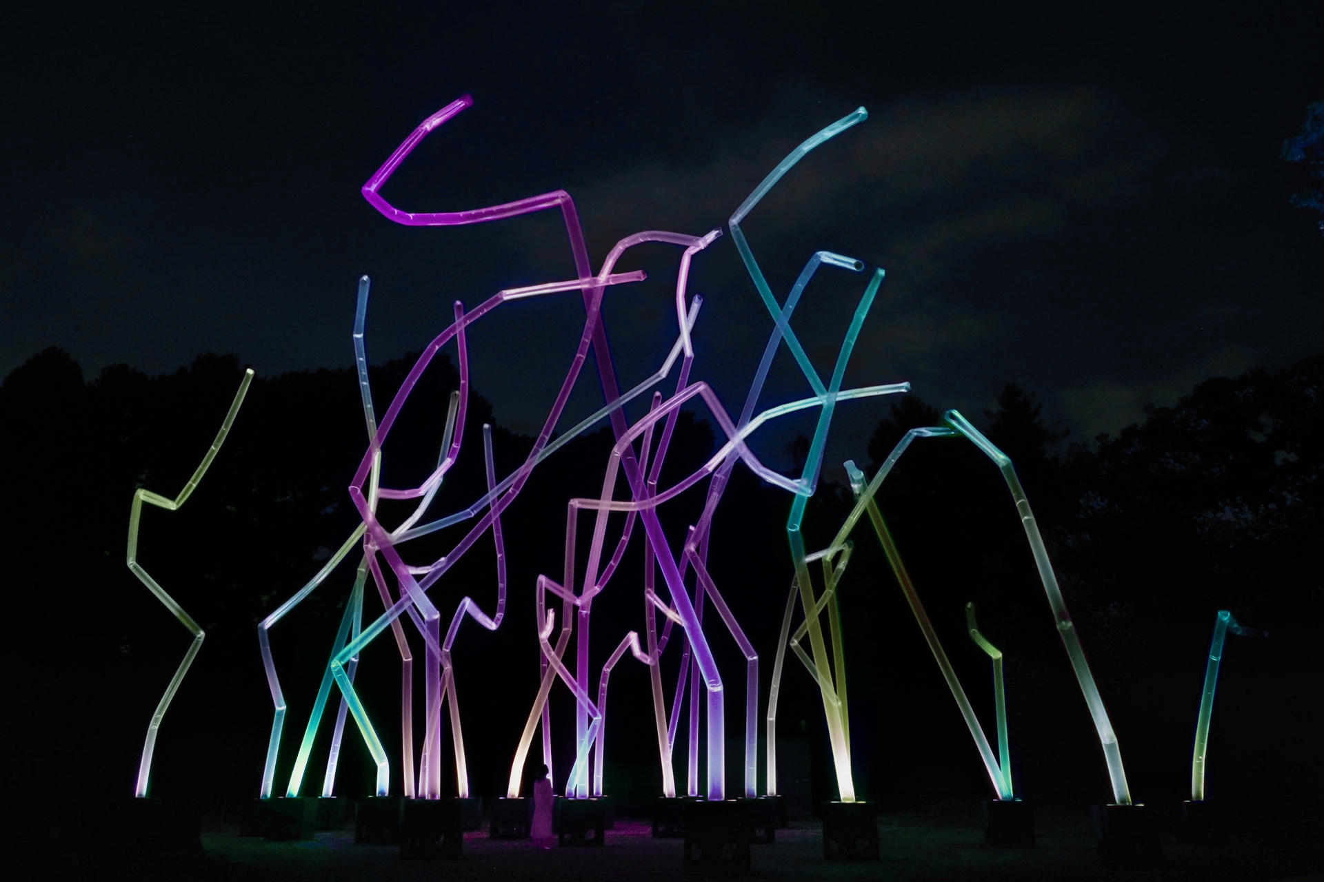 teamLab Botanical Garden Osaka Ticket - Thumbnail 5