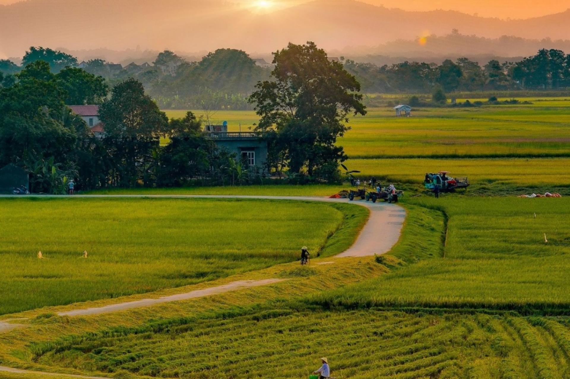Da Nang Rural Villages Full-Day Bike Tour - Thumbnail 7