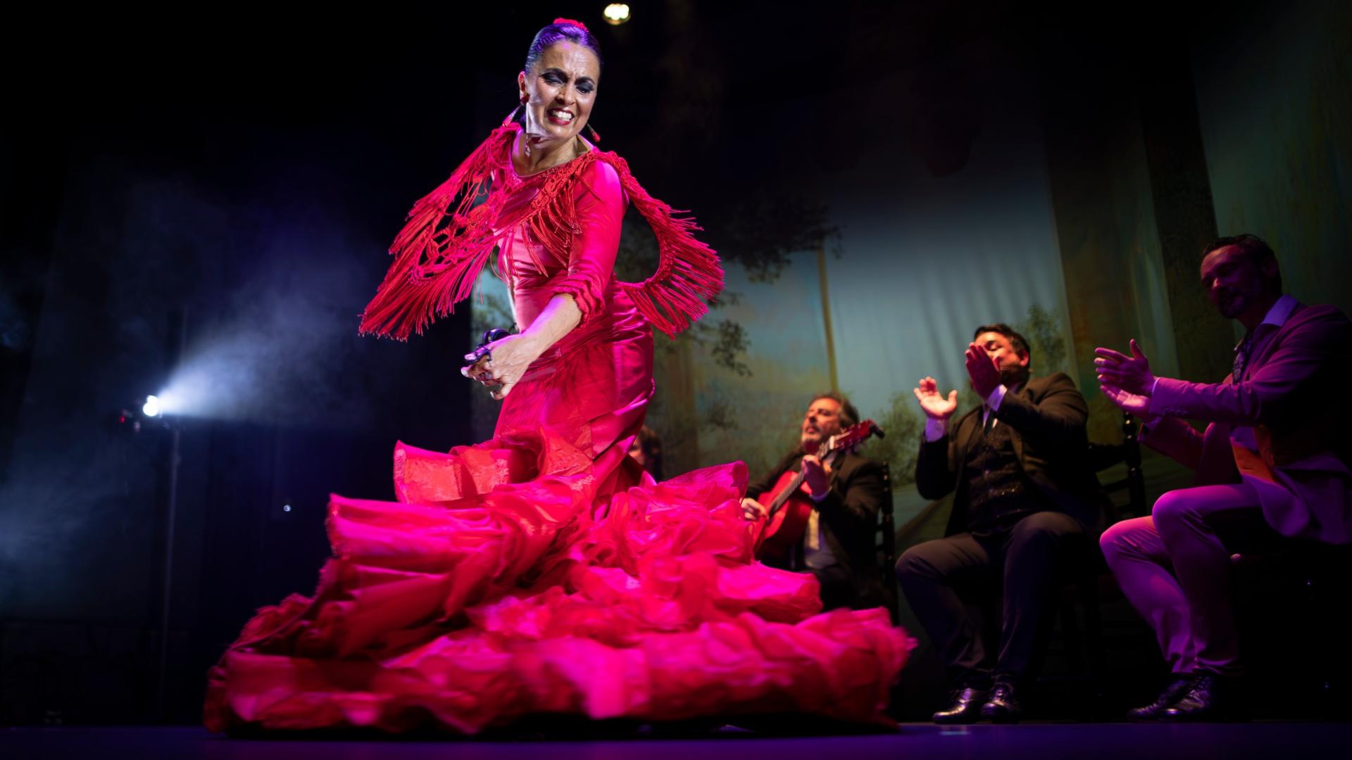 Sensaciones flamenco show in Granada - Thumbnail 6