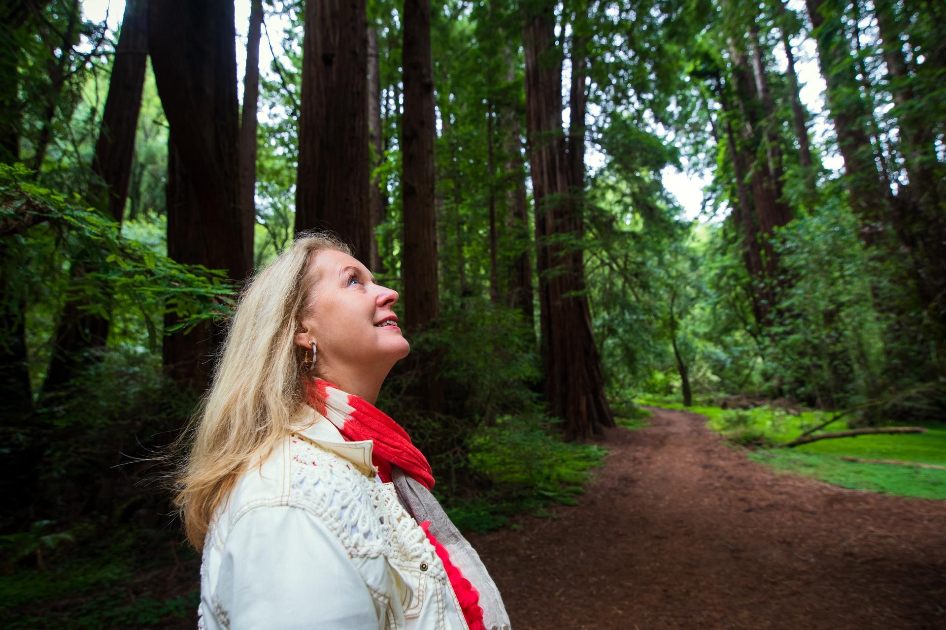 Muir Woods and California Wine Country Tour from San Francisco - Thumbnail 10