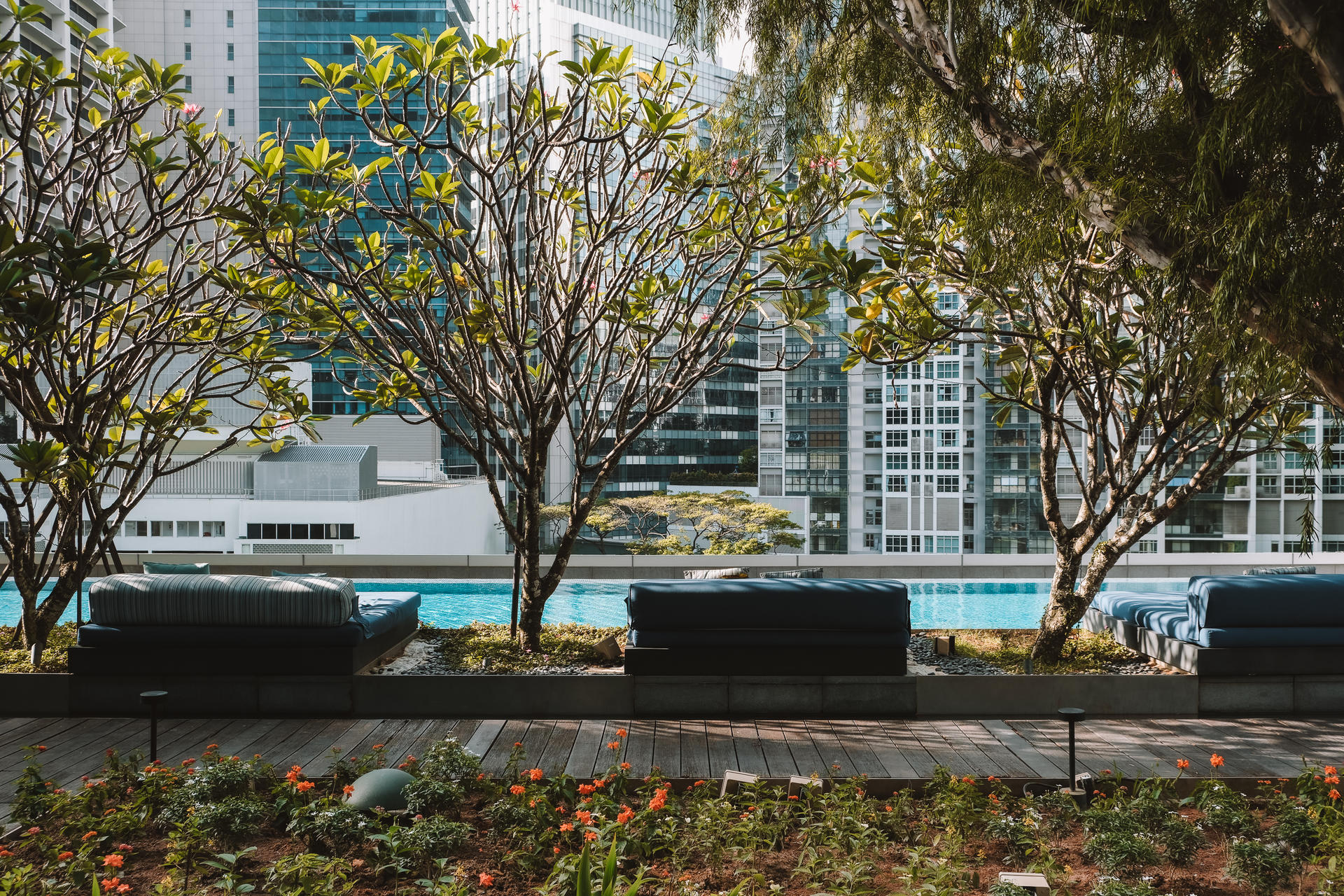 Club Millesime at Sofitel Singapore City Centre  - Thumbnail 15