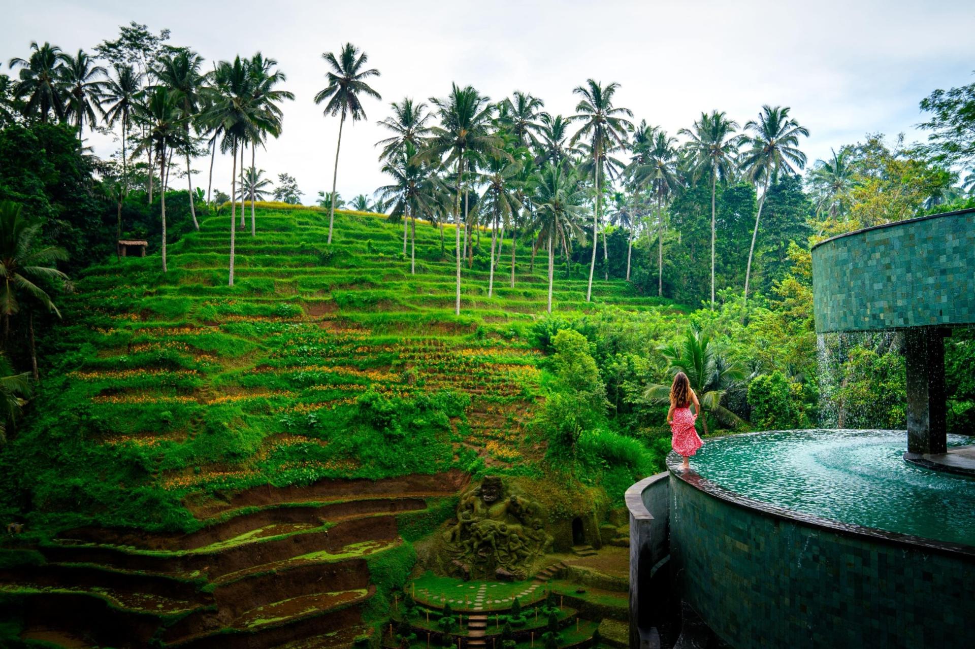 Ubud & Kintamani Full-Day Customizable Tour - Thumbnail 4