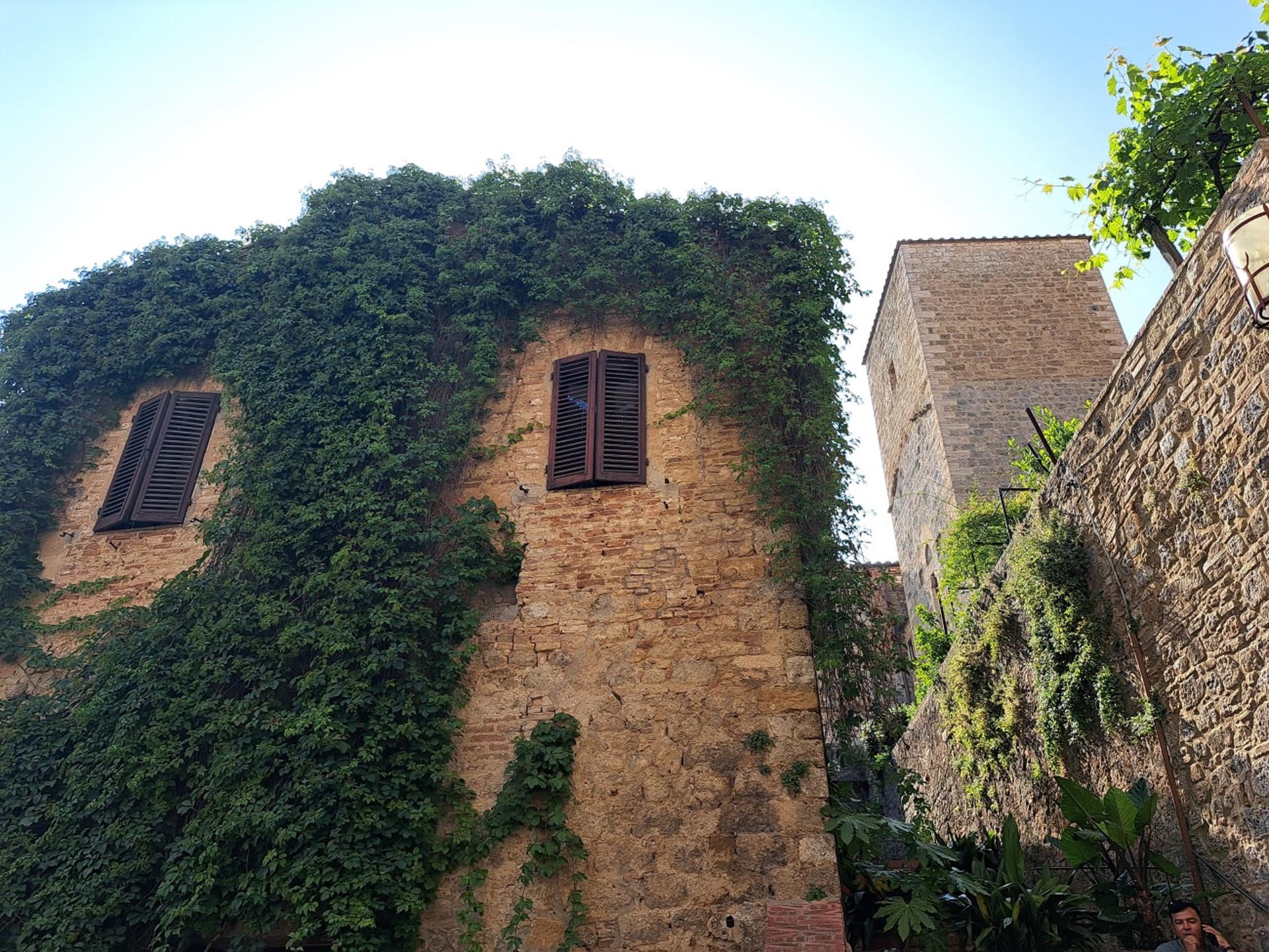 Pisa, Siena, San Gimignano with Lunch & Winery Experience - Thumbnail 18