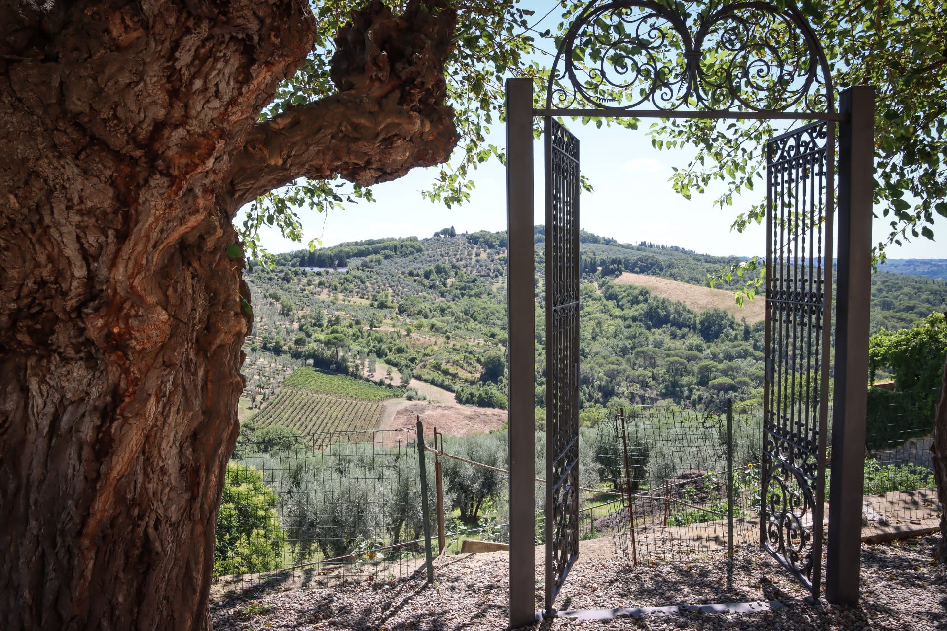 Guided Tuscany Chianti Drive: FIAT E-Car, Wine & Tuscan Lunch - Thumbnail 6