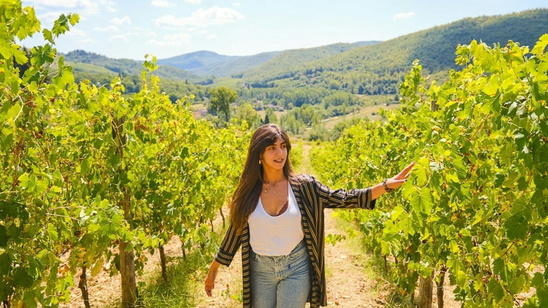 Chianti Vineyards half day tour with wine tasting from Florence - Thumbnail 5