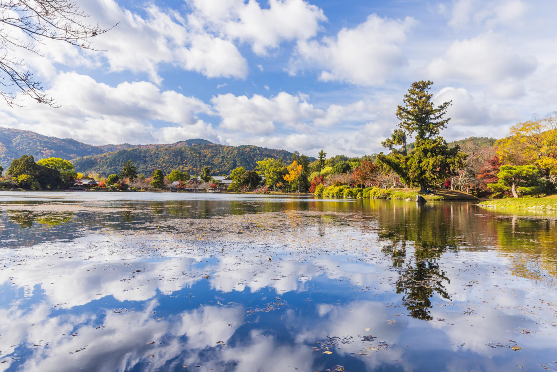 Kyoto City, Arashiyama & Sagano Half Day Guided Walking Tour - Thumbnail 5