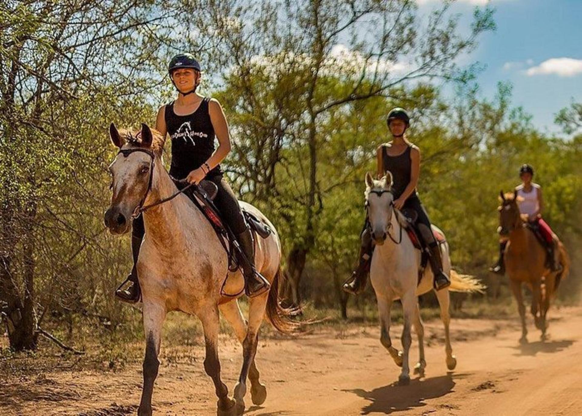 Kusadasi Horse Riding Experience with Transfer - Thumbnail 2