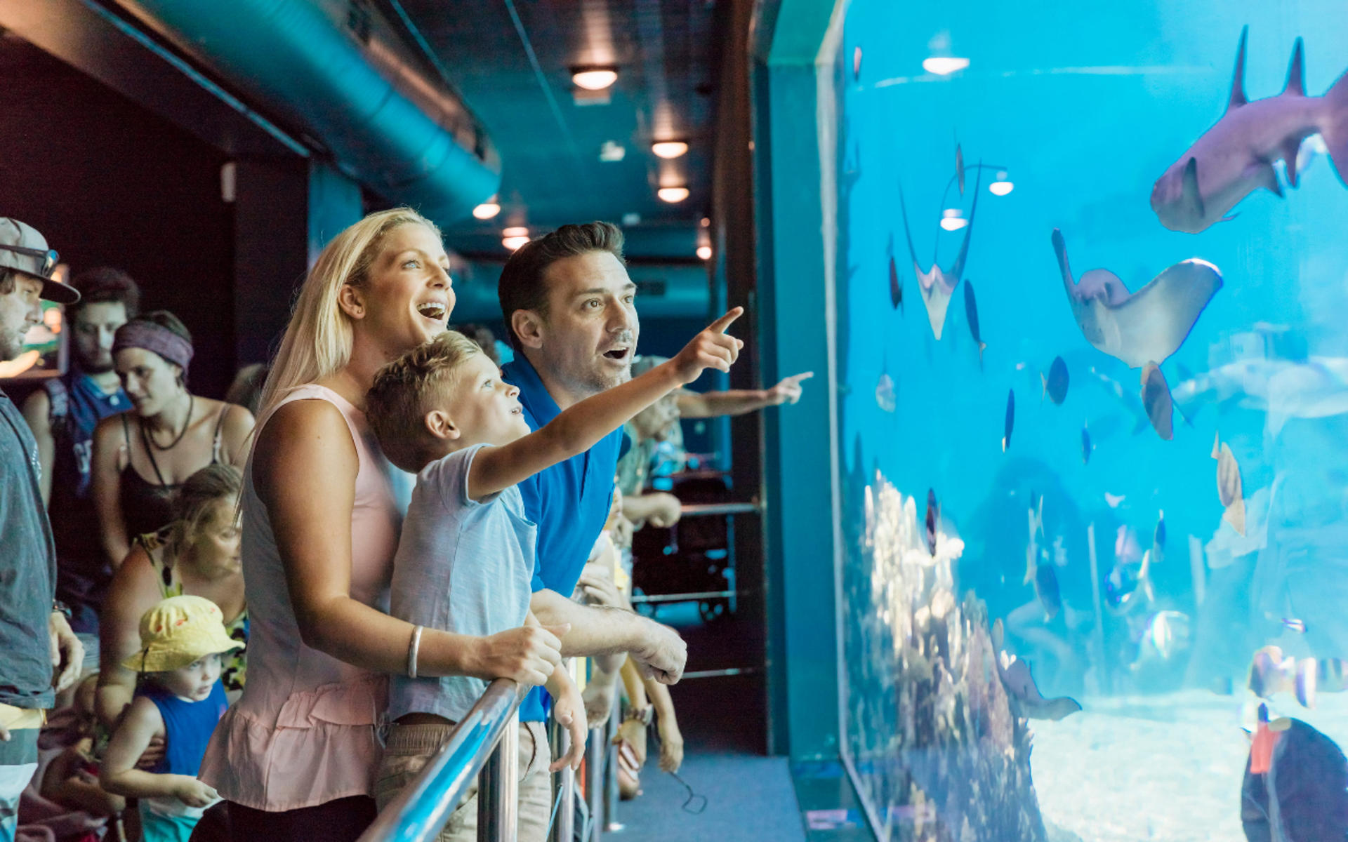 Sea World Whale Watching Experience with Sea World Ticket - Thumbnail 4