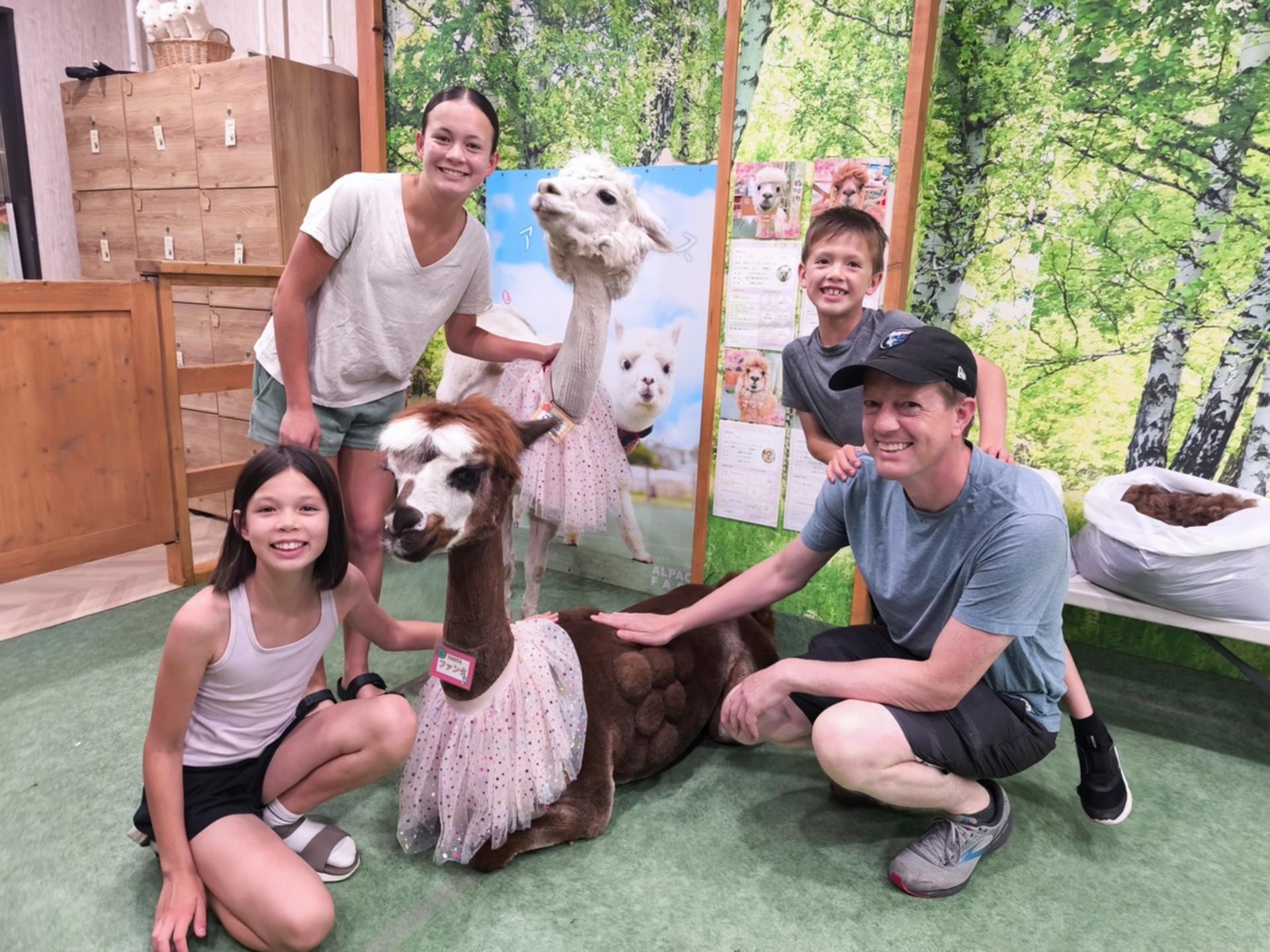 Alpaca Petting Experience in Tokyo【Alpaca Petting Park】 - Thumbnail 12