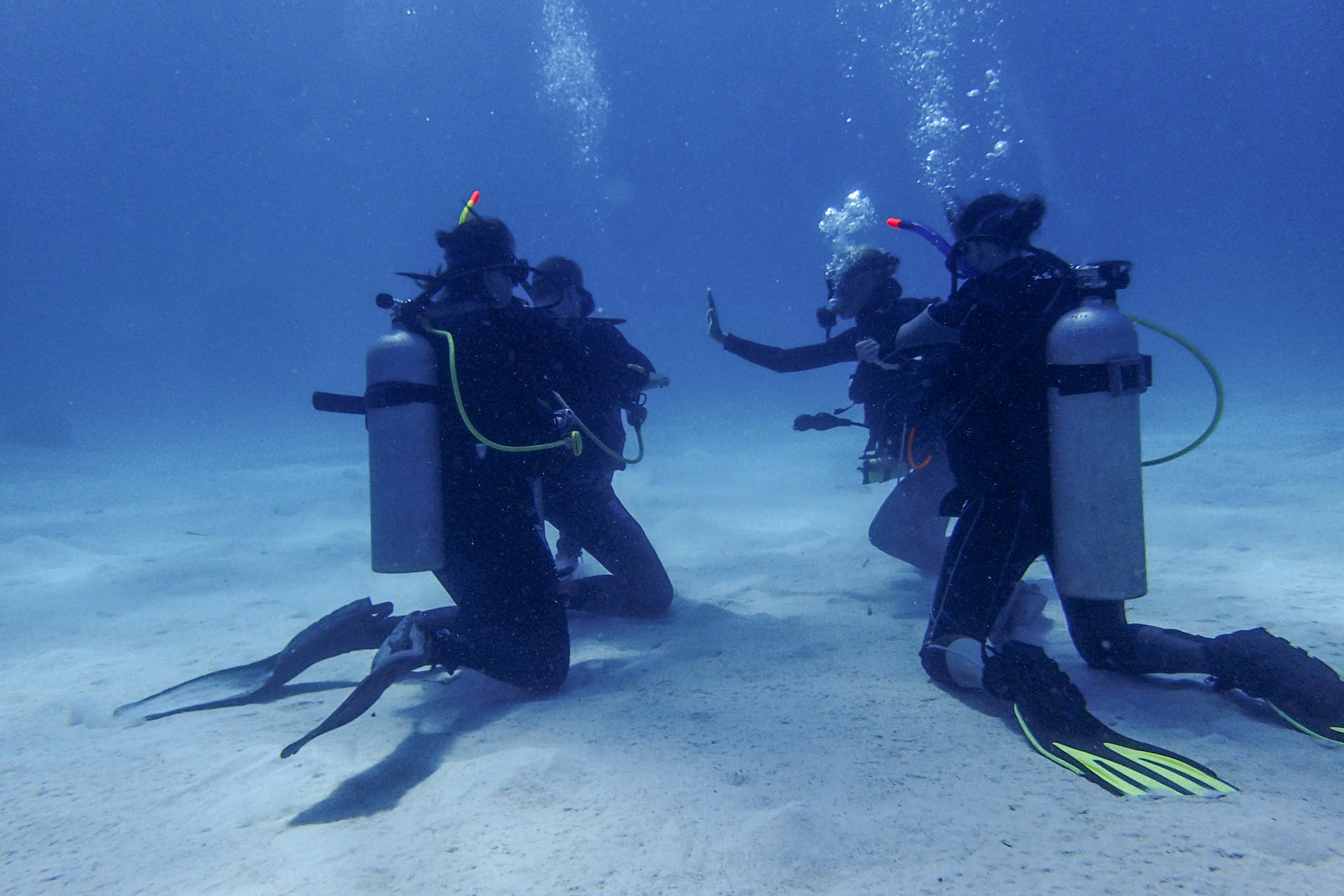 Aquatic Beginnings: Open Water Diver in Komodo with PADI 5* Center - Image 1