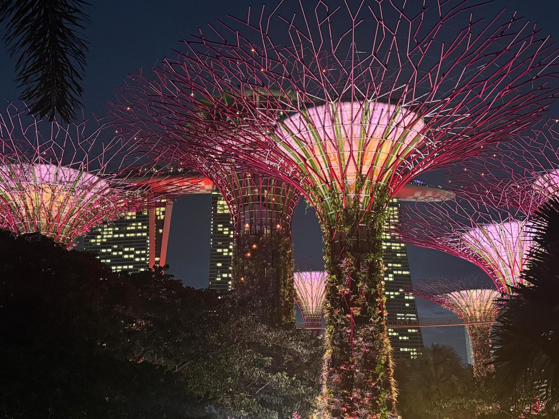 Singapore River Cruise & Light Shows Evening Tour - Thumbnail 10