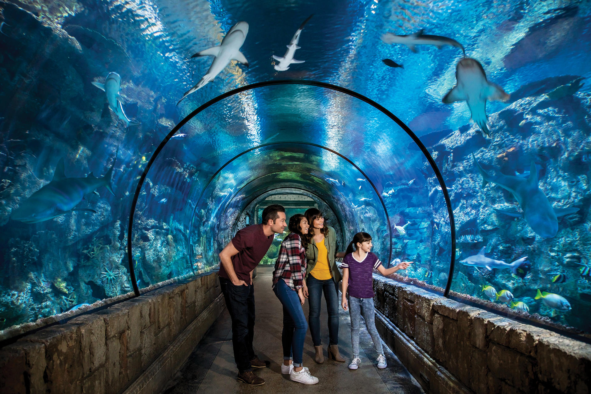 Shark Reef Aquarium Admission in Las Vegas - Image 1