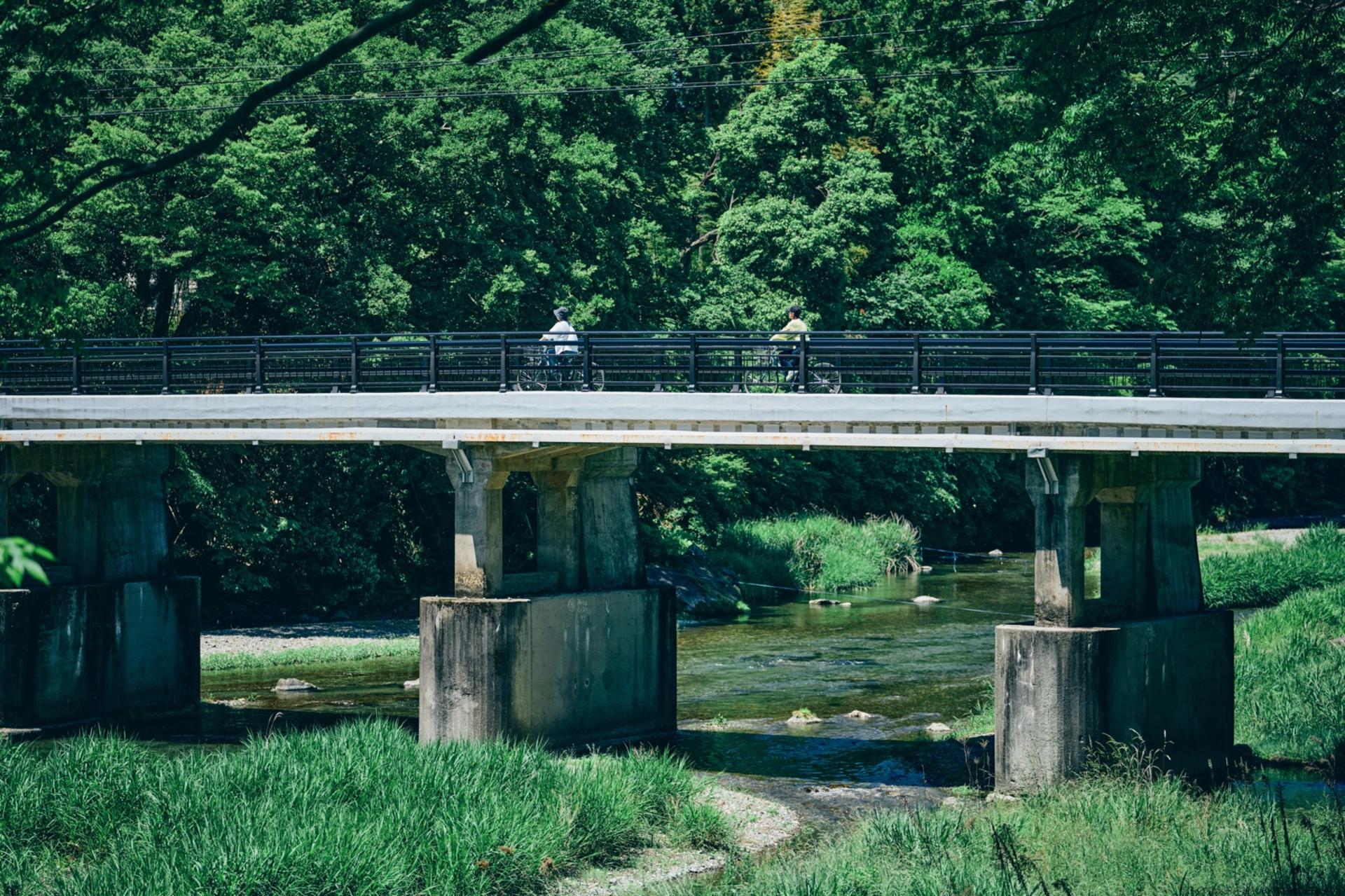 Akiruno Electric Bike & Nature Half-Day Tour - Thumbnail 22
