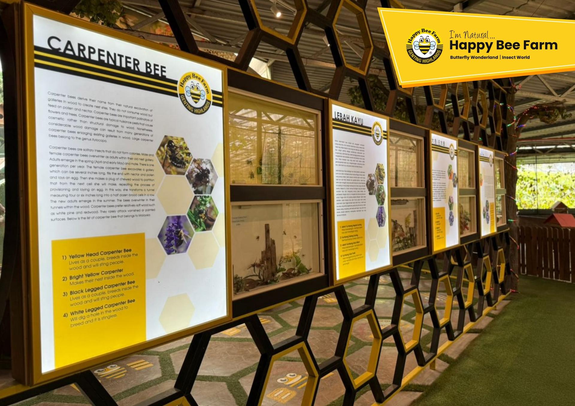 Happy Bee Farm Admission Ticket in Genting Highlands - Thumbnail 14