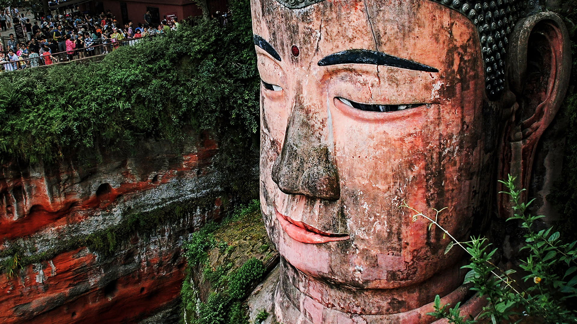 Giant Panda Breeding Research Base + Leshan Giant Buddha Private Day Tour (From Chengdu) - Thumbnail 7