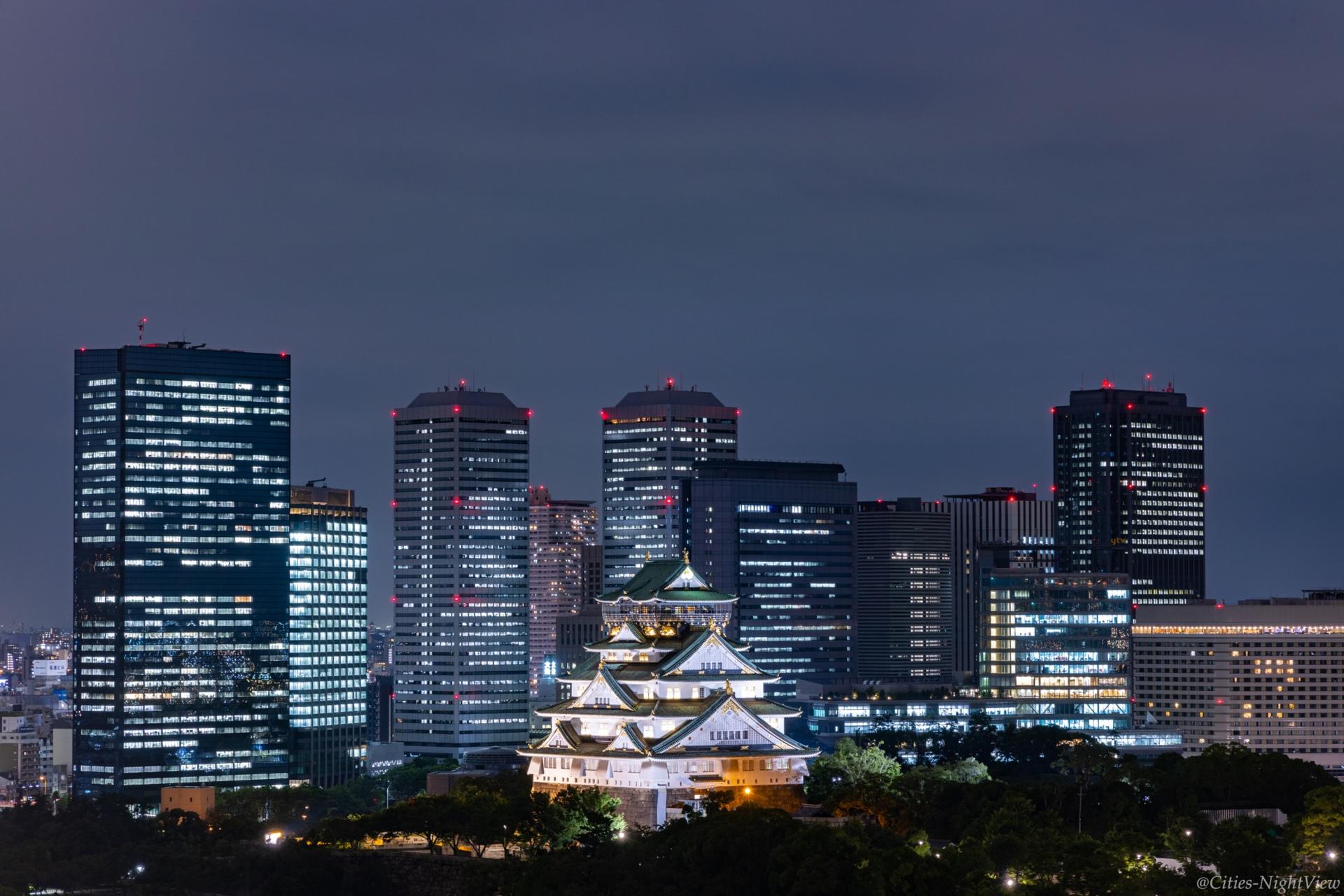 Osaka: Castle Tower Admission / Guided Walking Tour - Thumbnail 13