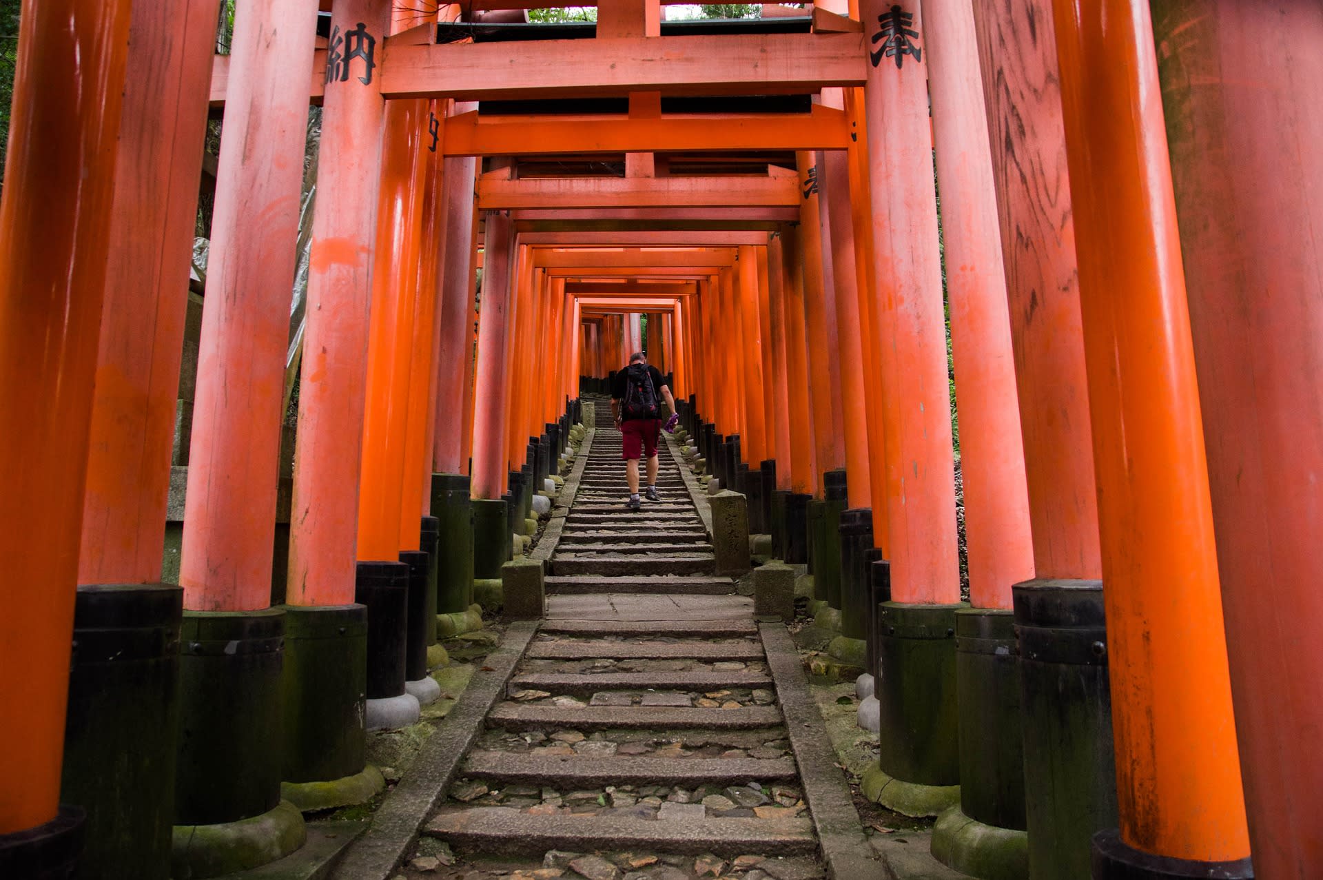 Kyoto: Nijo, Bamboo Grove, Golden Pavilion & Fushimi Inari Bus Tour - Thumbnail 8