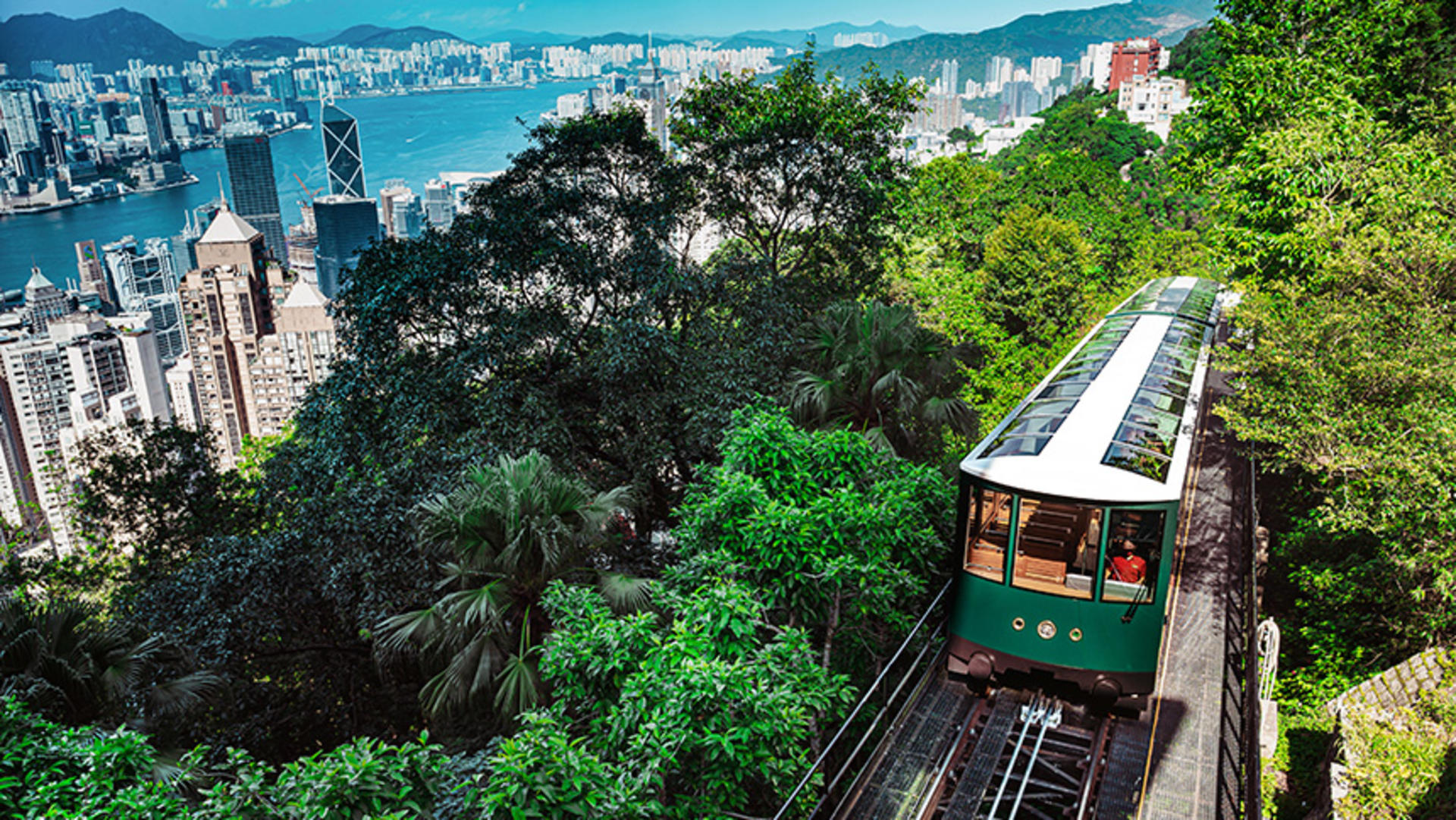 (H1) Half-Day Tour of Hong Kong's Central District + Tram + Victoria Peak + Madame Tussauds - Thumbnail 12