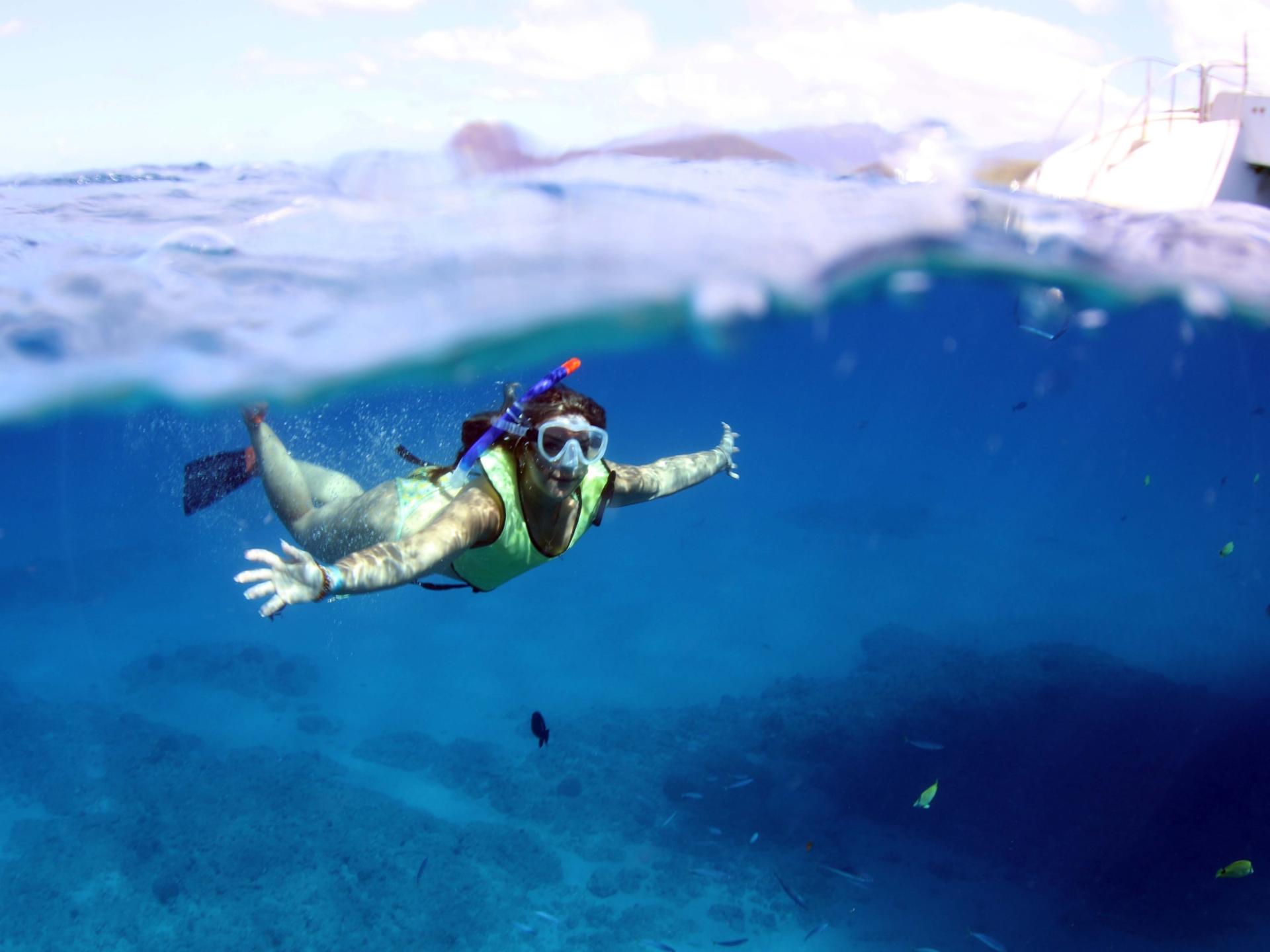 Luxury Afternoon Snorkeling Cruise and Dolphin Watch from Ko Olina - Thumbnail 21