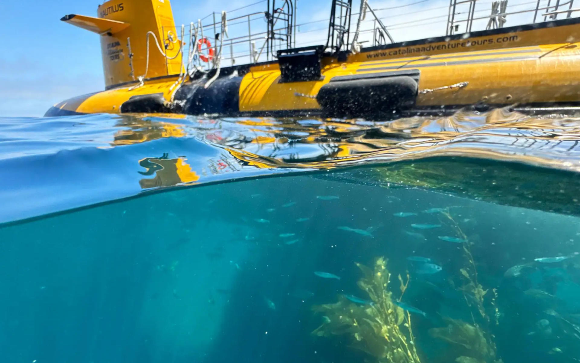 The Nautilus Semi-Submarine Excursion Experience - Thumbnail 4