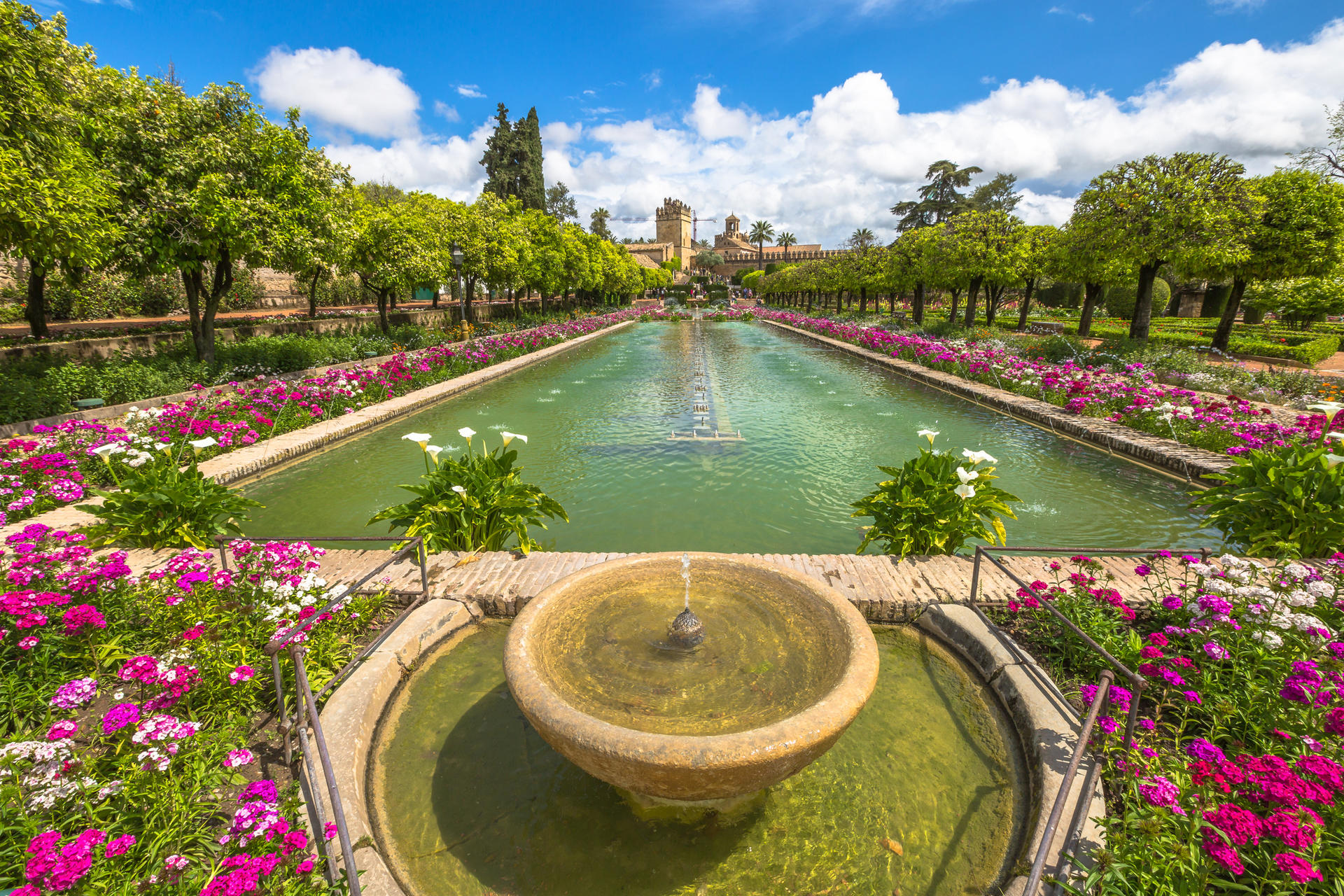 The Alcazar of Seville Guided Tour  - Thumbnail 8