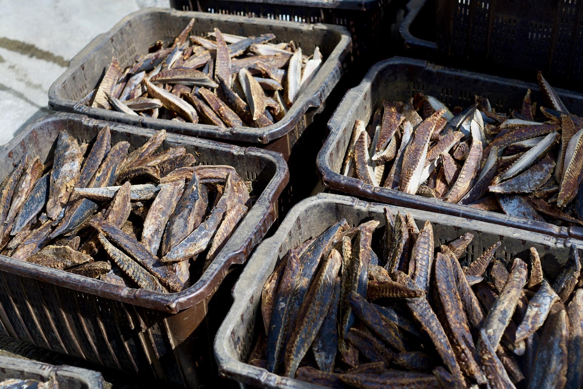 Tokyo Tsukiji Outer Market Half-Day Tour with Sushi Making - Thumbnail 29