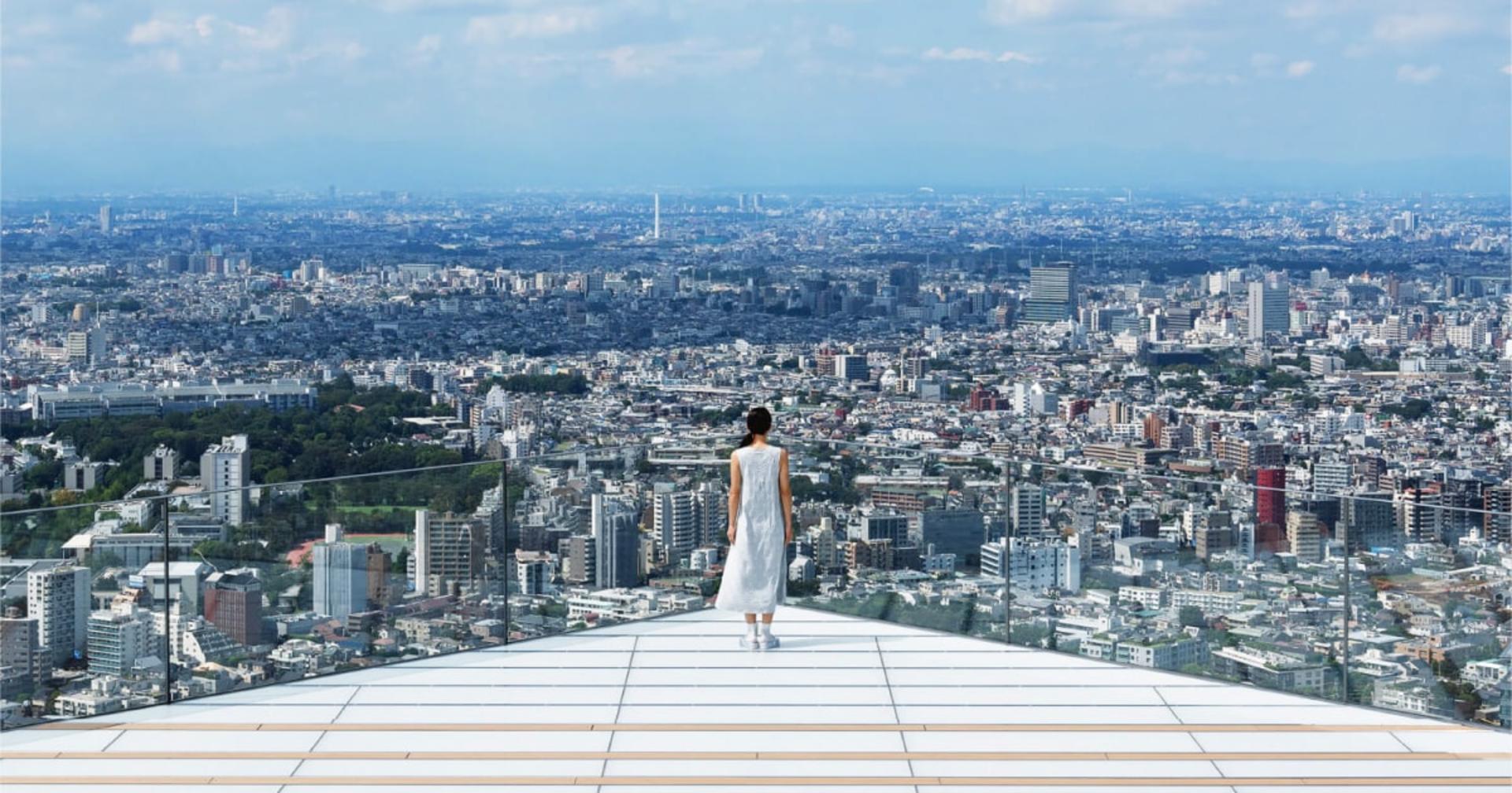 Tokyo Private Chartered Car Day Tour (Customizable Itinerary) - Thumbnail 9