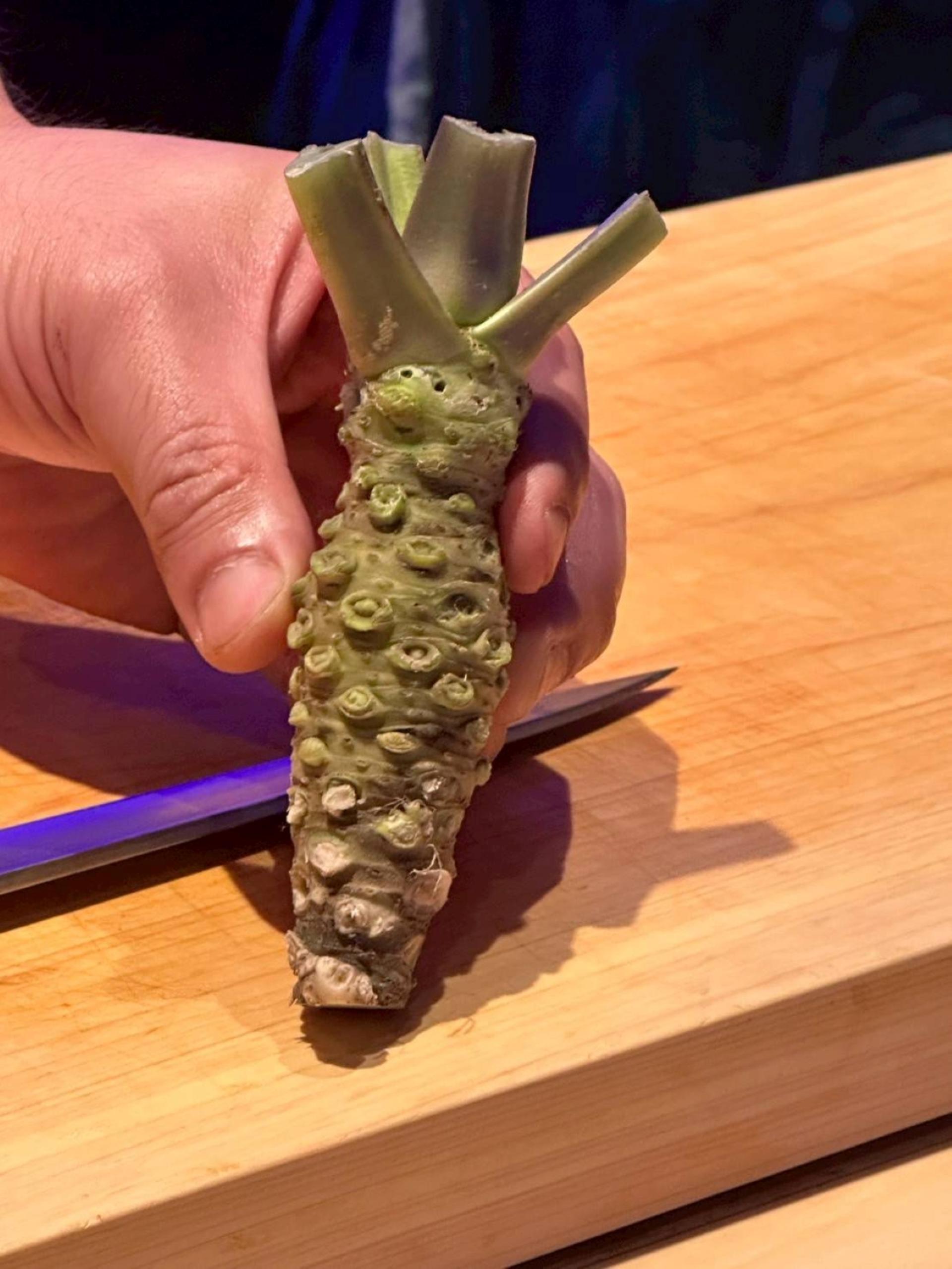 Shinsaibashi : SHIN NIPPON Artisan Sushi Making Course - Thumbnail 8