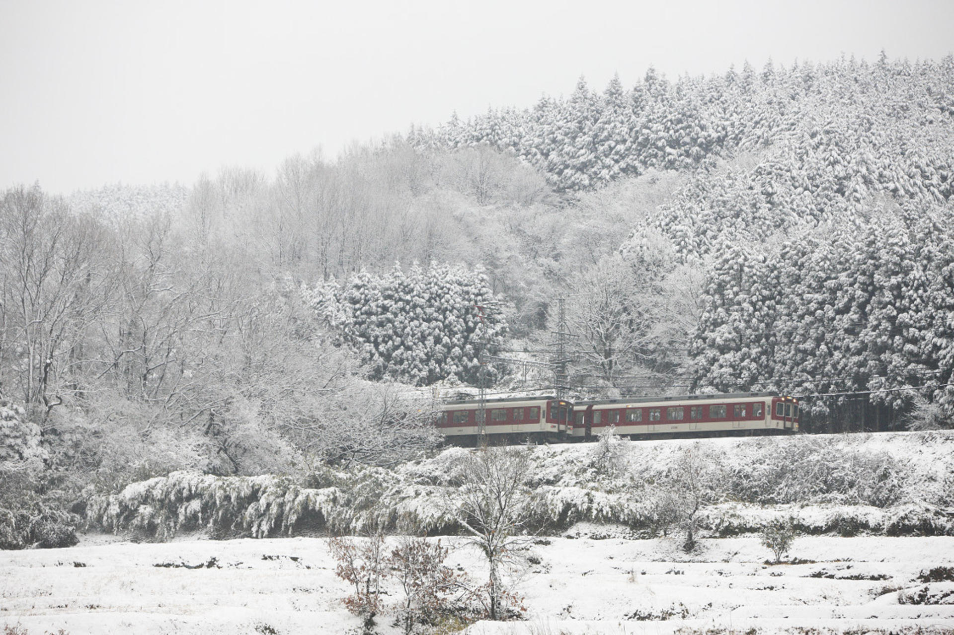 Kintetsu Rail Pass  - Thumbnail 11