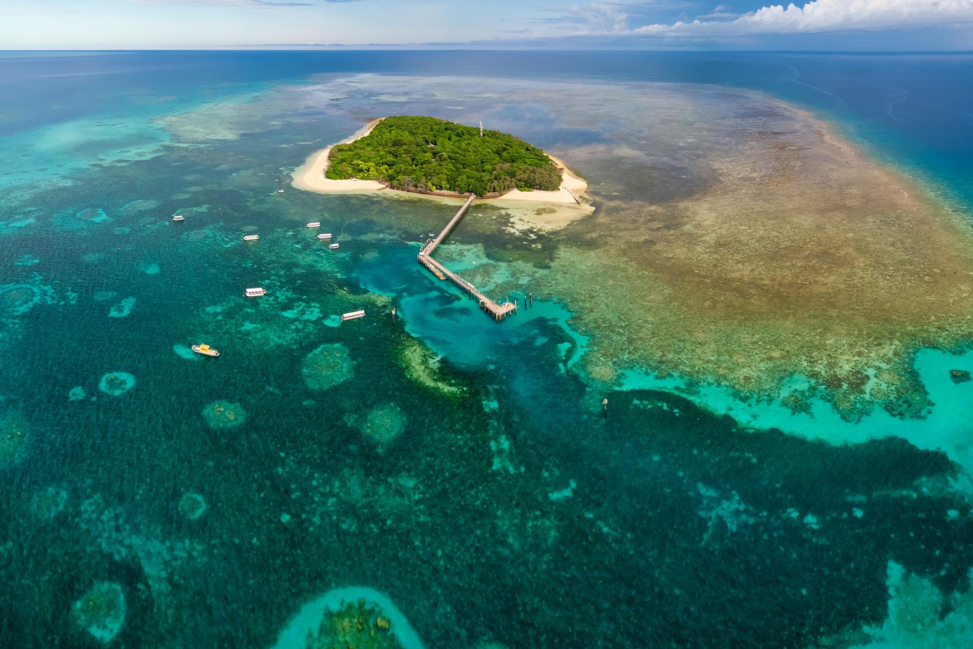 Green Island Snorkelling & Glass Bottom Boat Day Tour - Thumbnail 17