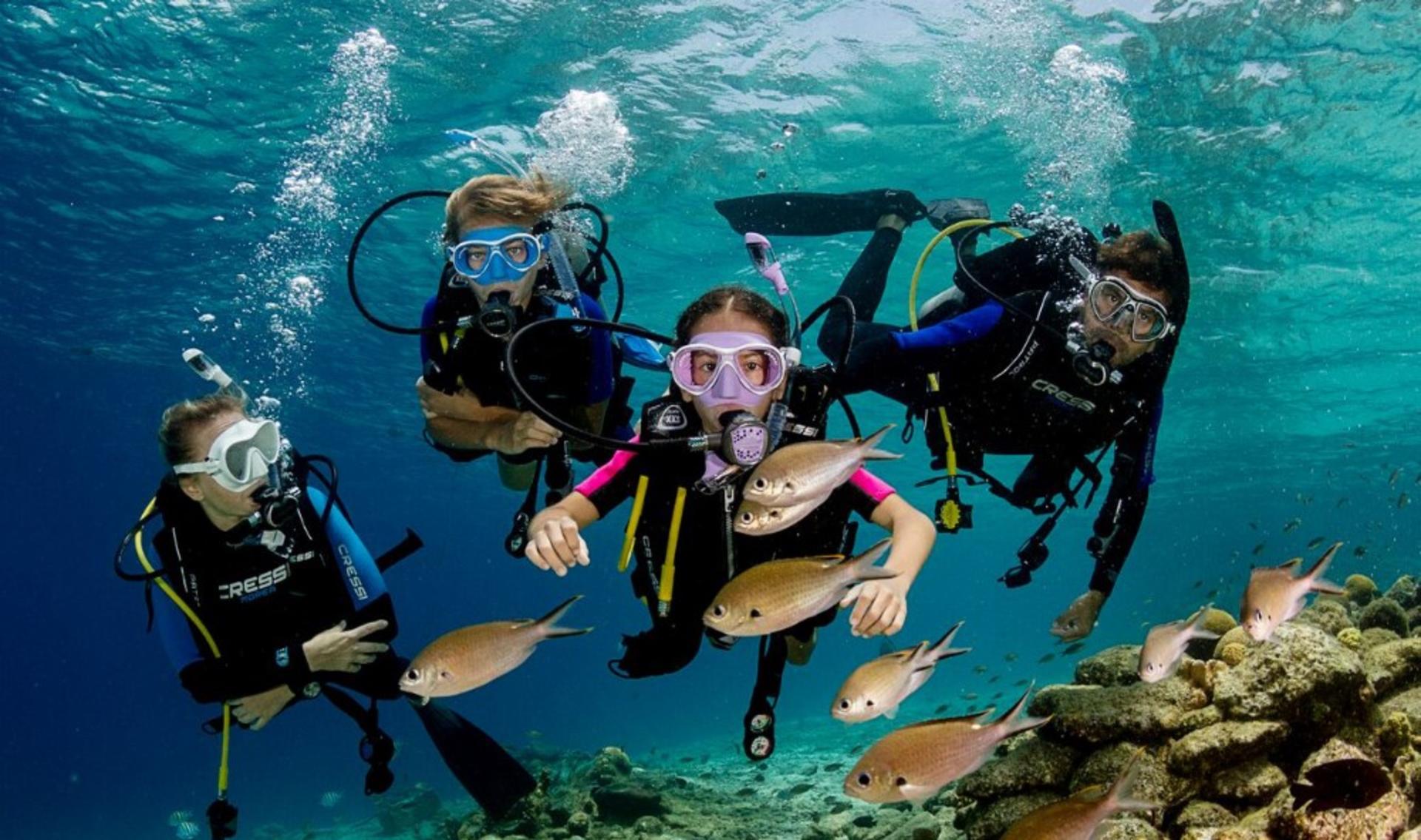 Scuba Diving in Fethiye with Lunch & Roundtrip Transfer - Image 1