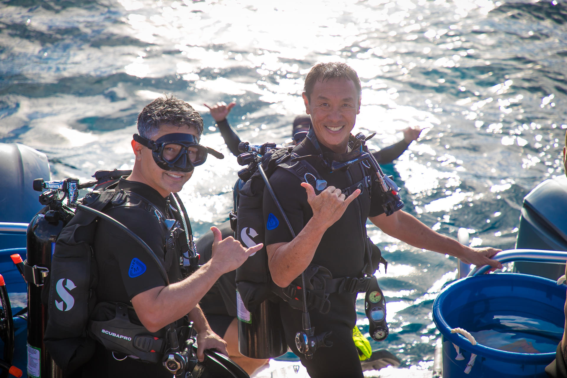 Explore Honolulu: Open Water Diver eLearning with PADI 5* Center - Image 1