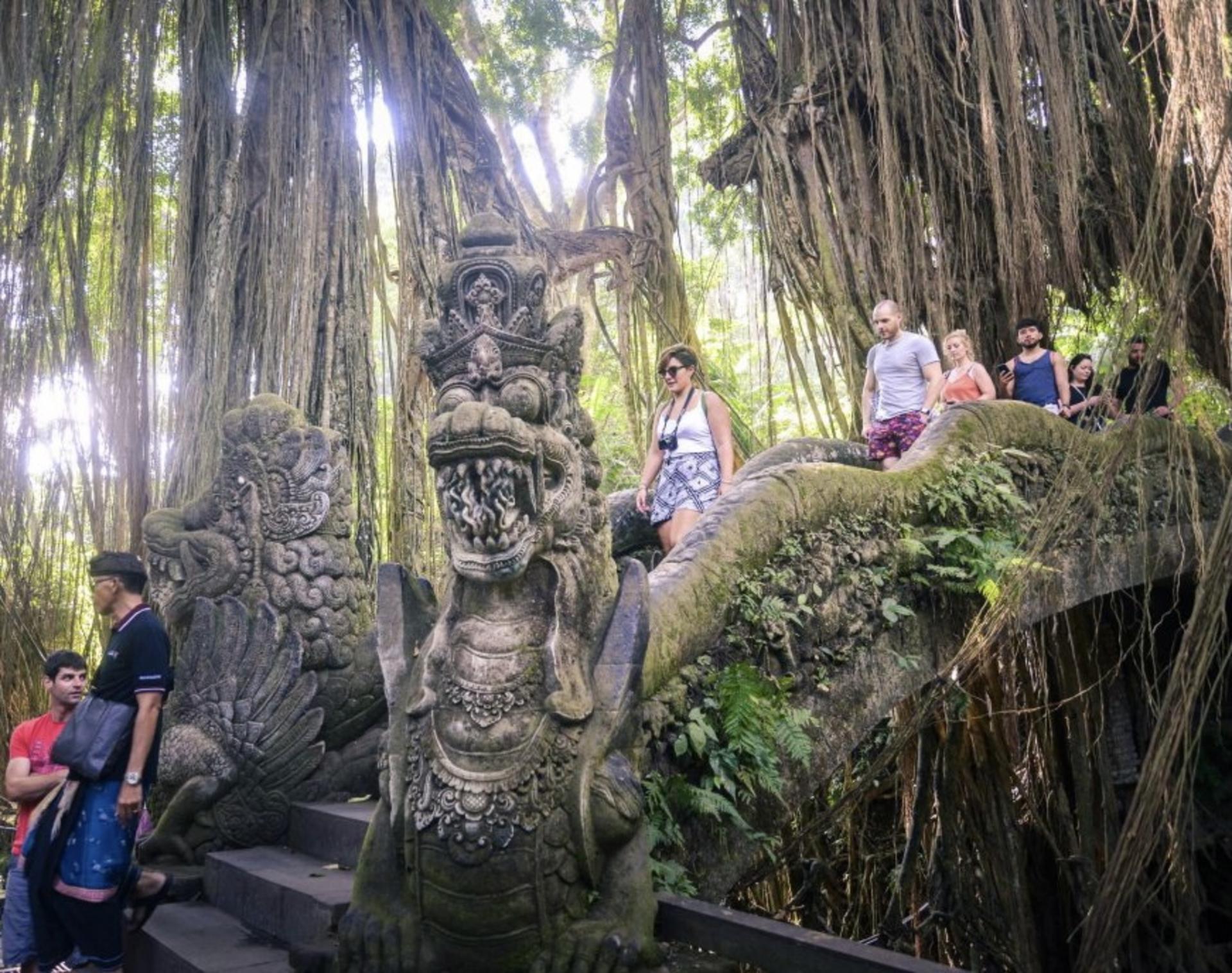 Sacred Monkey Forest Ubud Ticket - Thumbnail 7