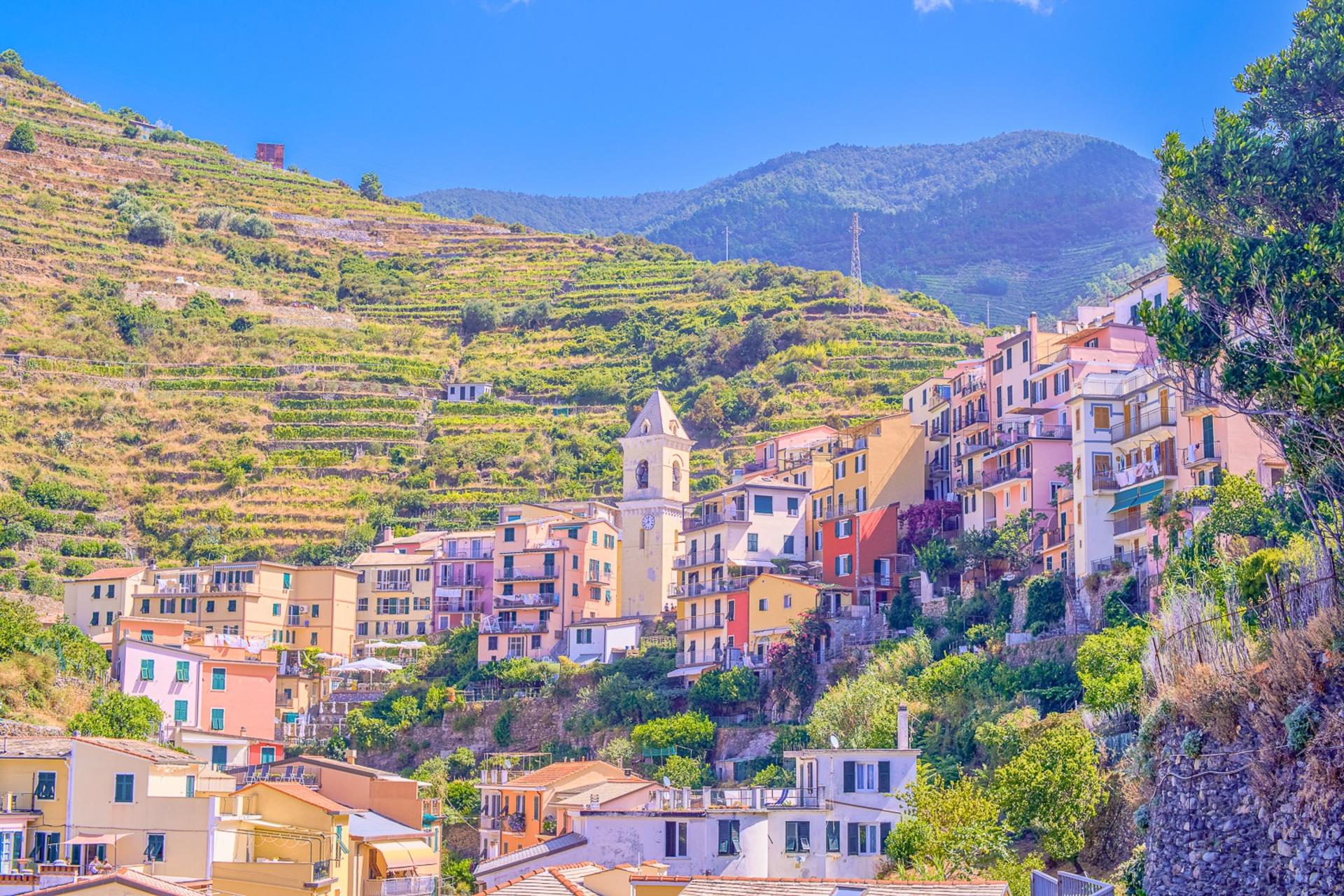 Cinque Terre Tour from Florence with optional Pisa - Thumbnail 8