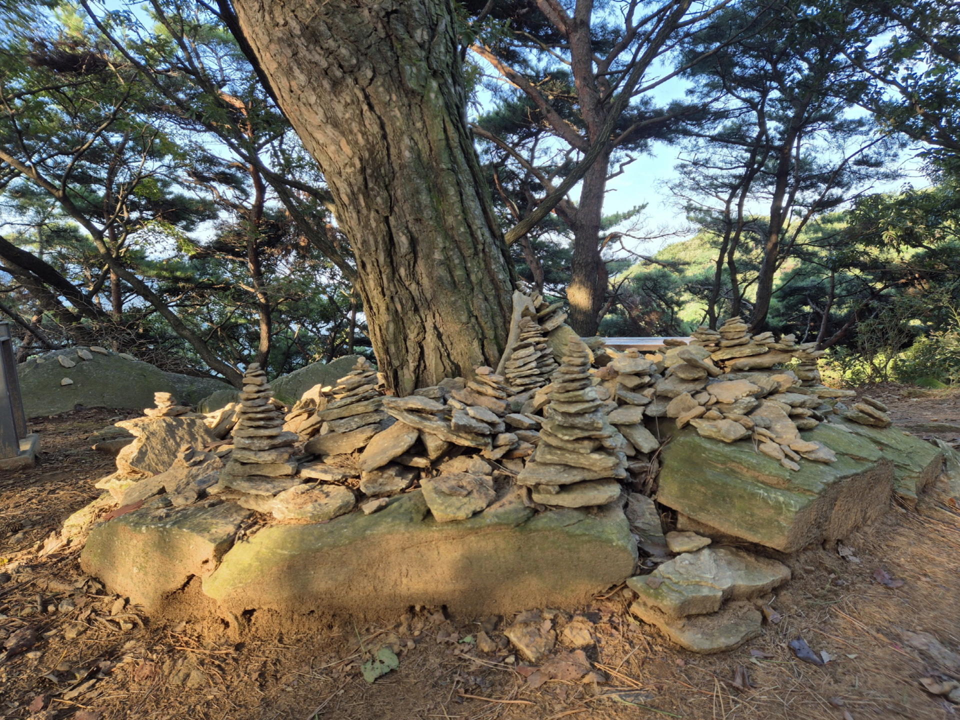 Cheonggyesan Mountain Hiking and Seafood pancake lunch - Thumbnail 19