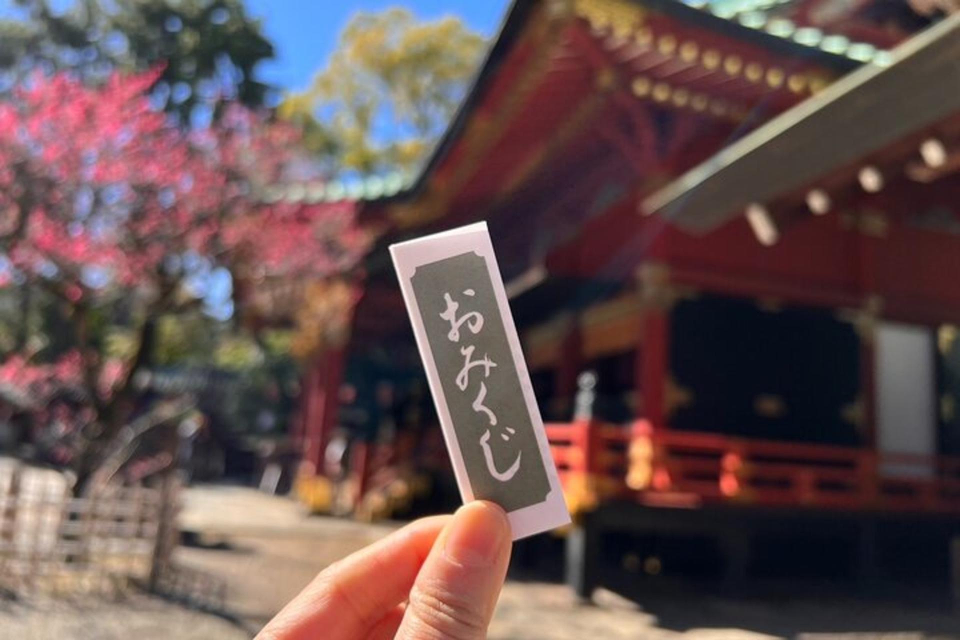Encounter Cultural Heritage & Enjoy Yanaka Old Town (Tokyo) - Thumbnail 5