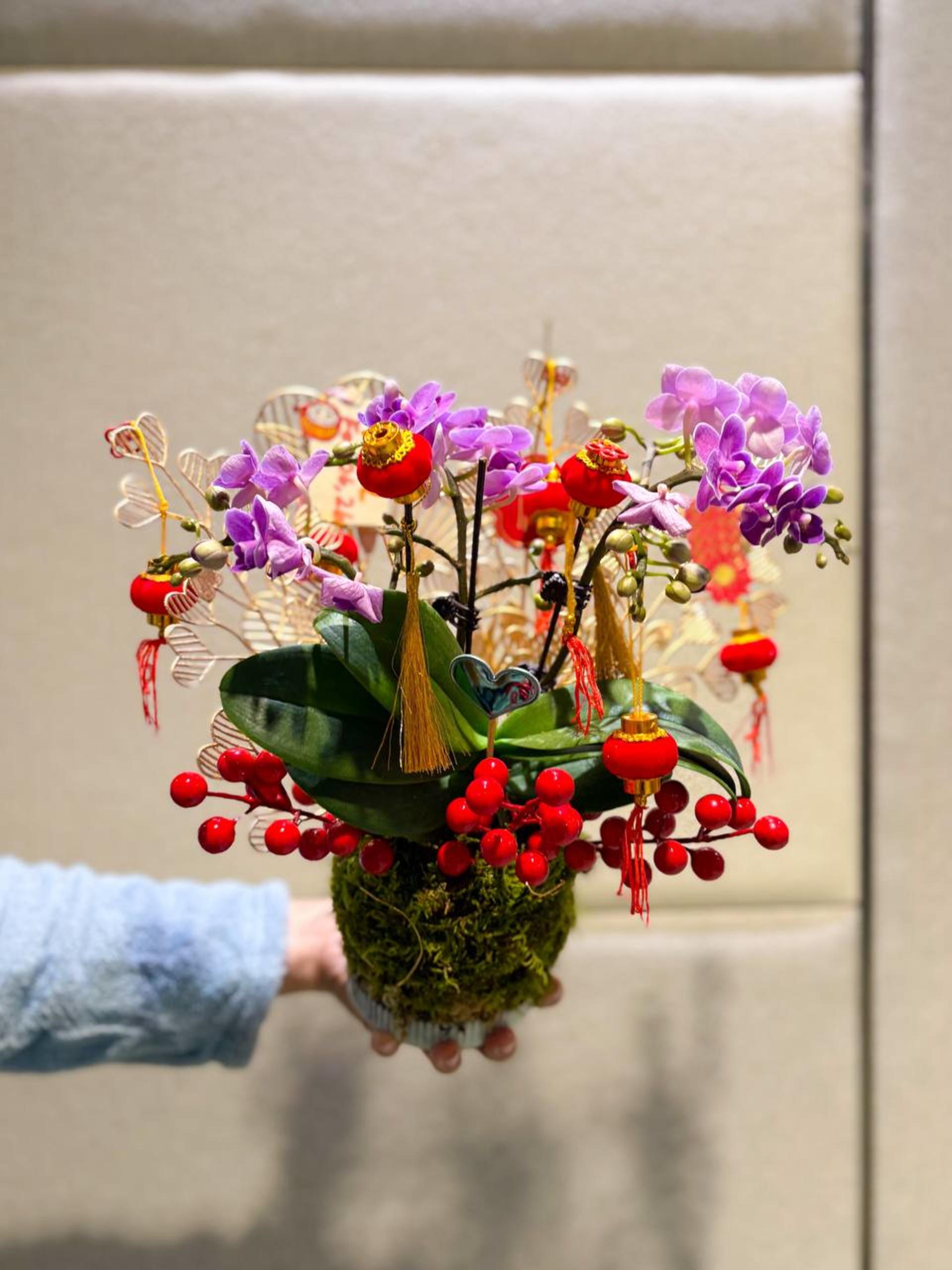 Kokedama Workshop - Thumbnail 23