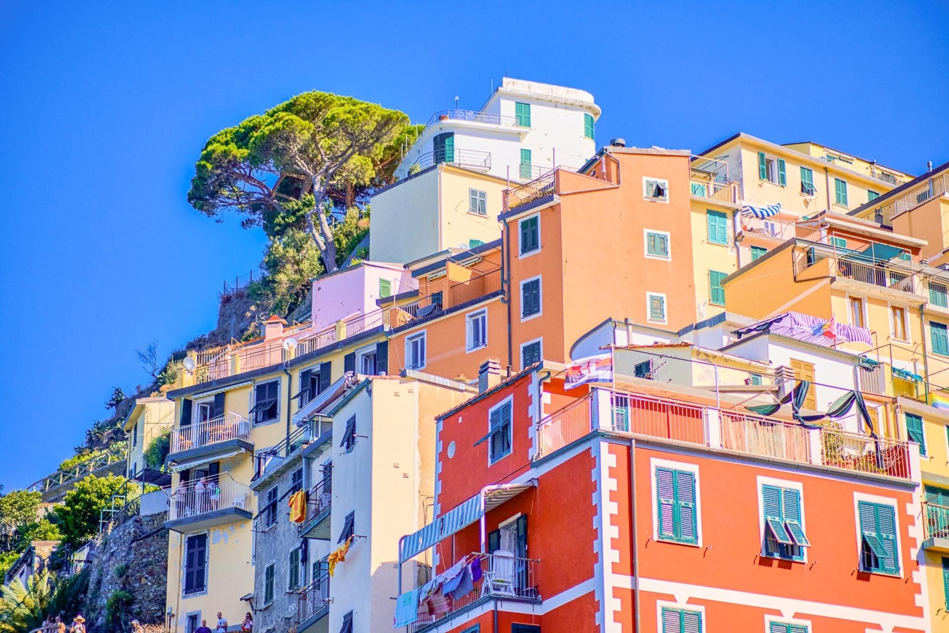 Cinque Terre Tour from Florence with optional Pisa - Thumbnail 5