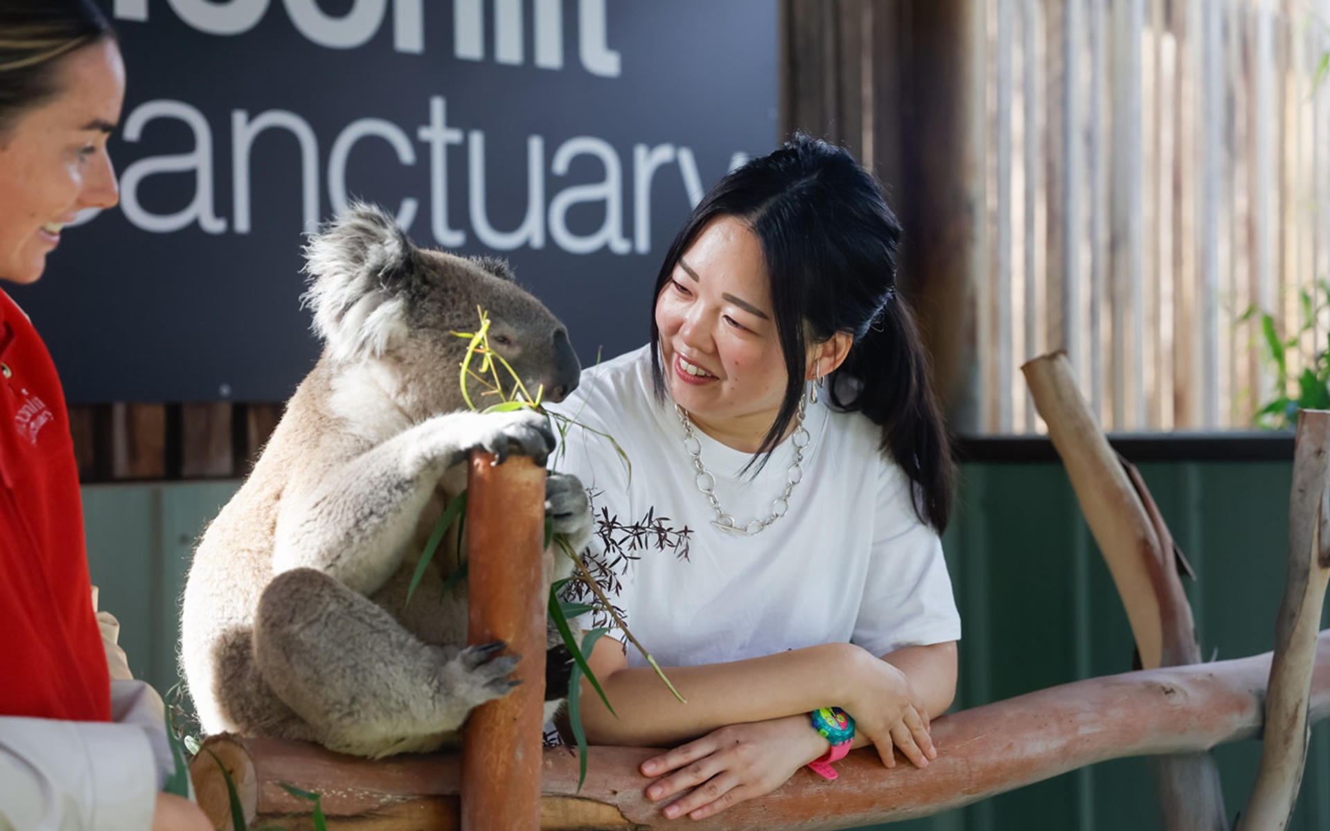 Melbourne City Highlights Private Day Tour - Thumbnail 6