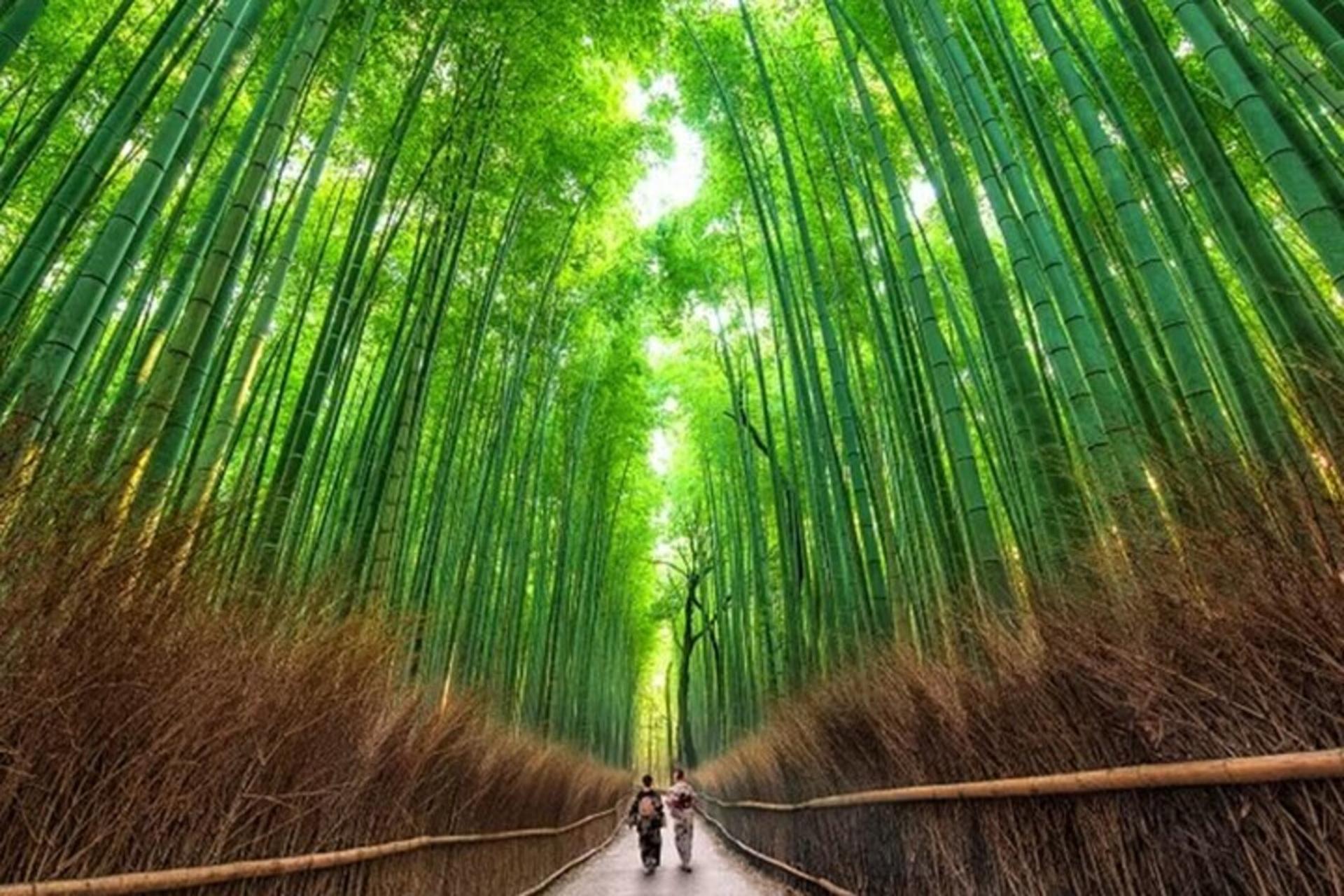Kyoto: Arashiyama Premium Chopstick Making With Engraving Option - Thumbnail 16