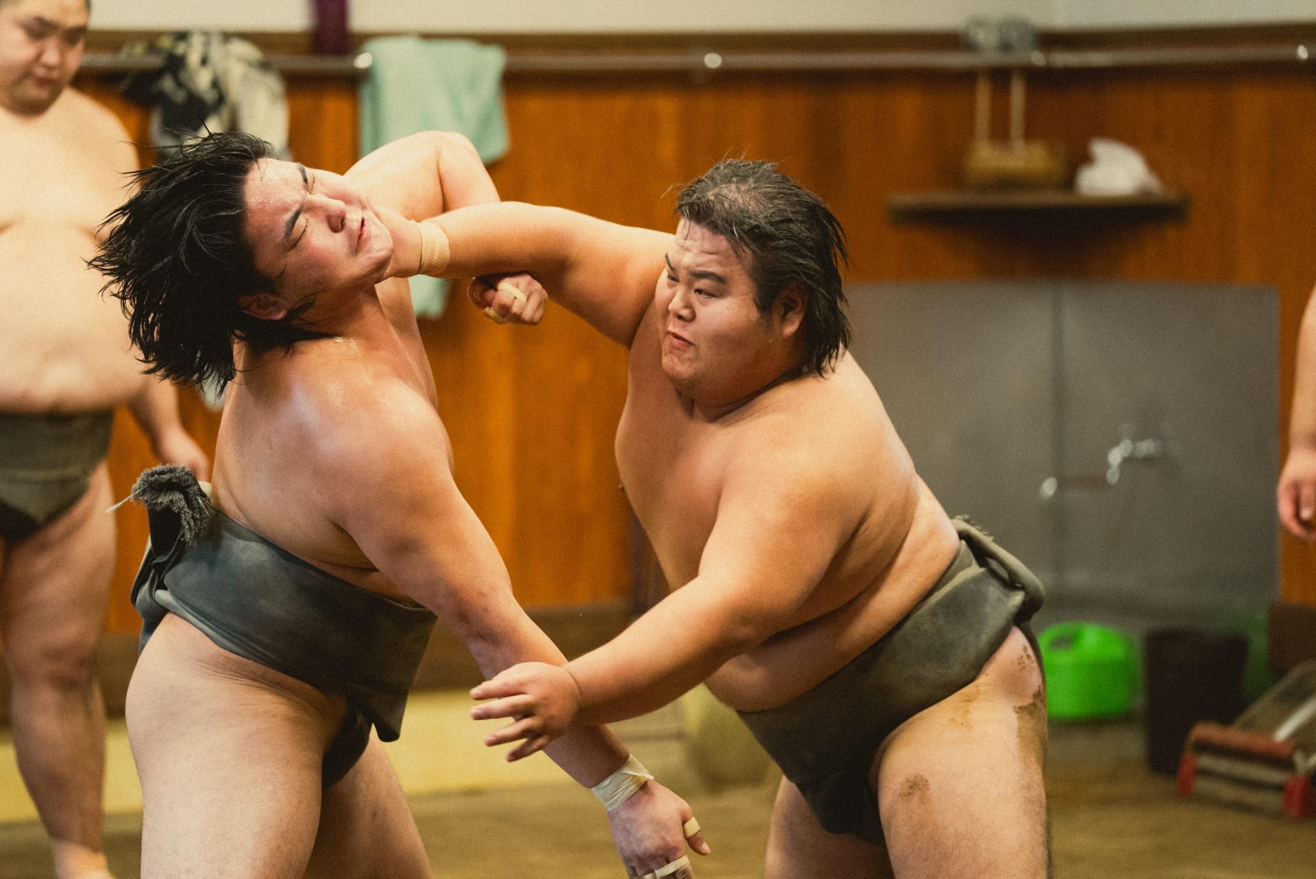 Tokyo Sumo Morning Practice Tour: Real Stable Viewing & Guide - Image 1